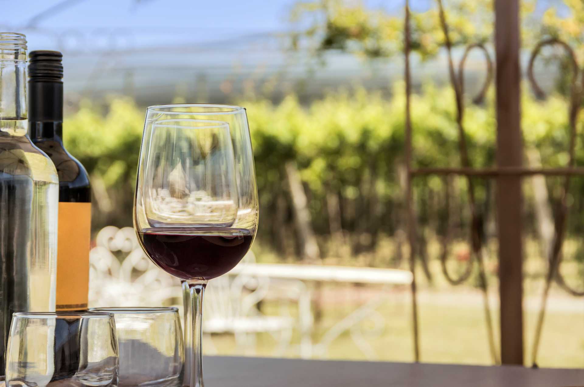A glass of red wine sits on a table, with a bottle of wine and other glassware in the foreground, while a scenic outdoor landscape with trees and greenery can be seen in the background.