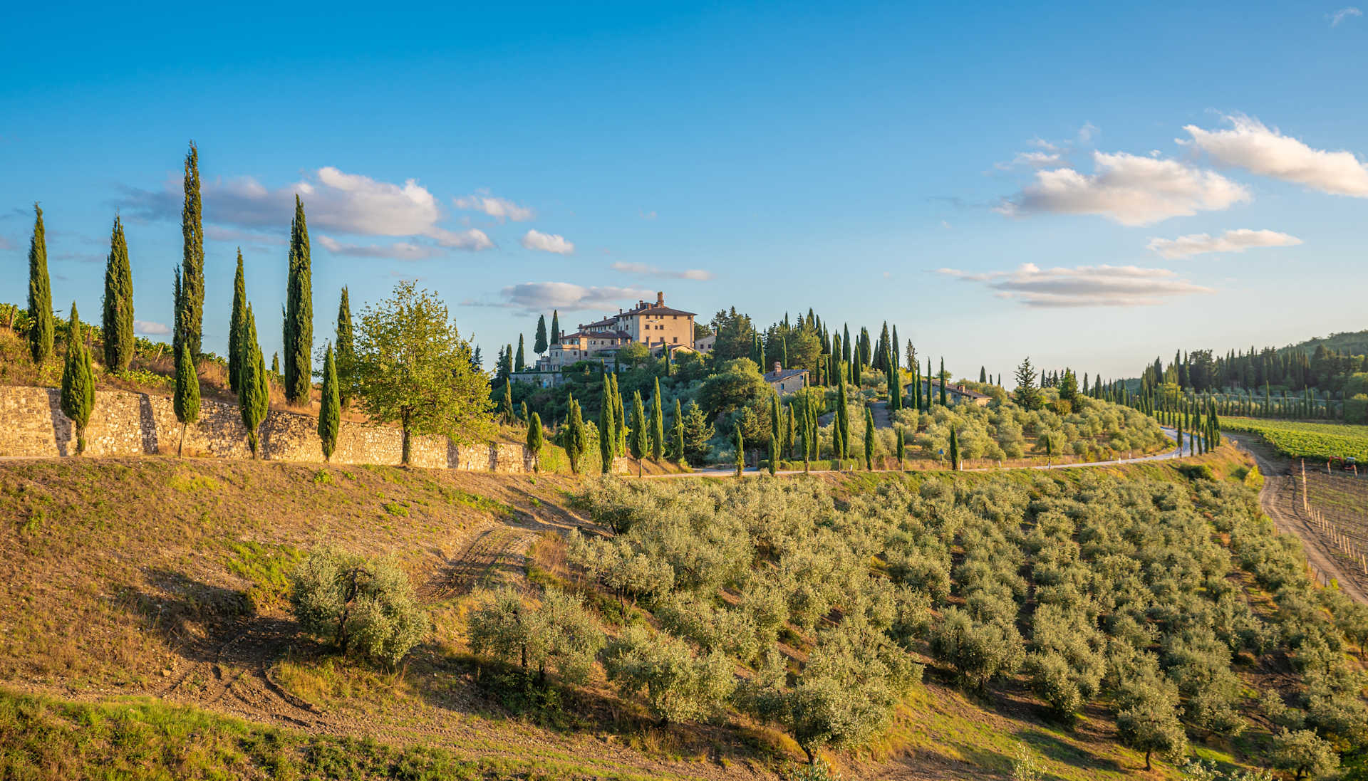 A picturesque landscape with rolling hills covered in olive groves, dotted with tall cypress trees, and a charming villa nestled among the greenery against a backdrop of a clear blue sky with wispy clouds.