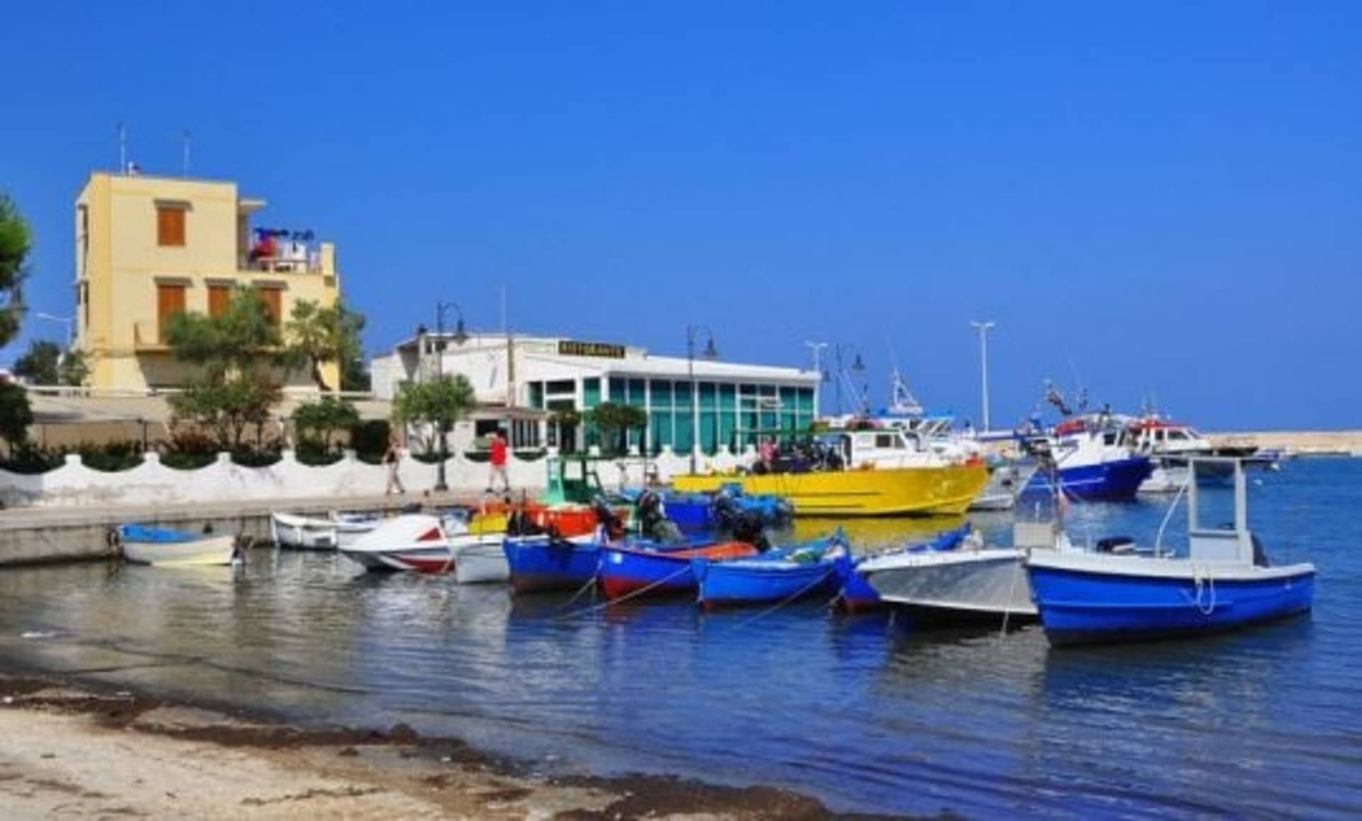 A colorful array of small fishing boats and yachts are docked along the waterfront, with a seaside building and clear blue sky in the background.