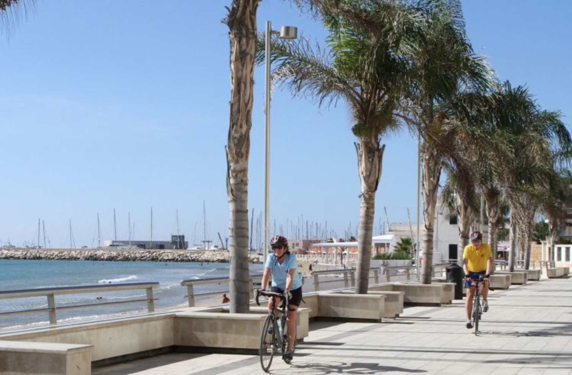 A scenic waterfront promenade lined with palm trees, with people riding bicycles along the path.