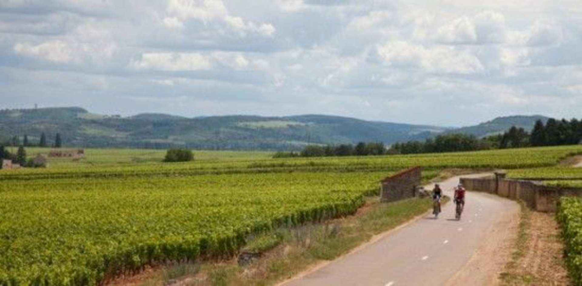 A scenic rural landscape with a paved path winding through a lush green field, surrounded by rolling hills and a cloudy sky in the background.