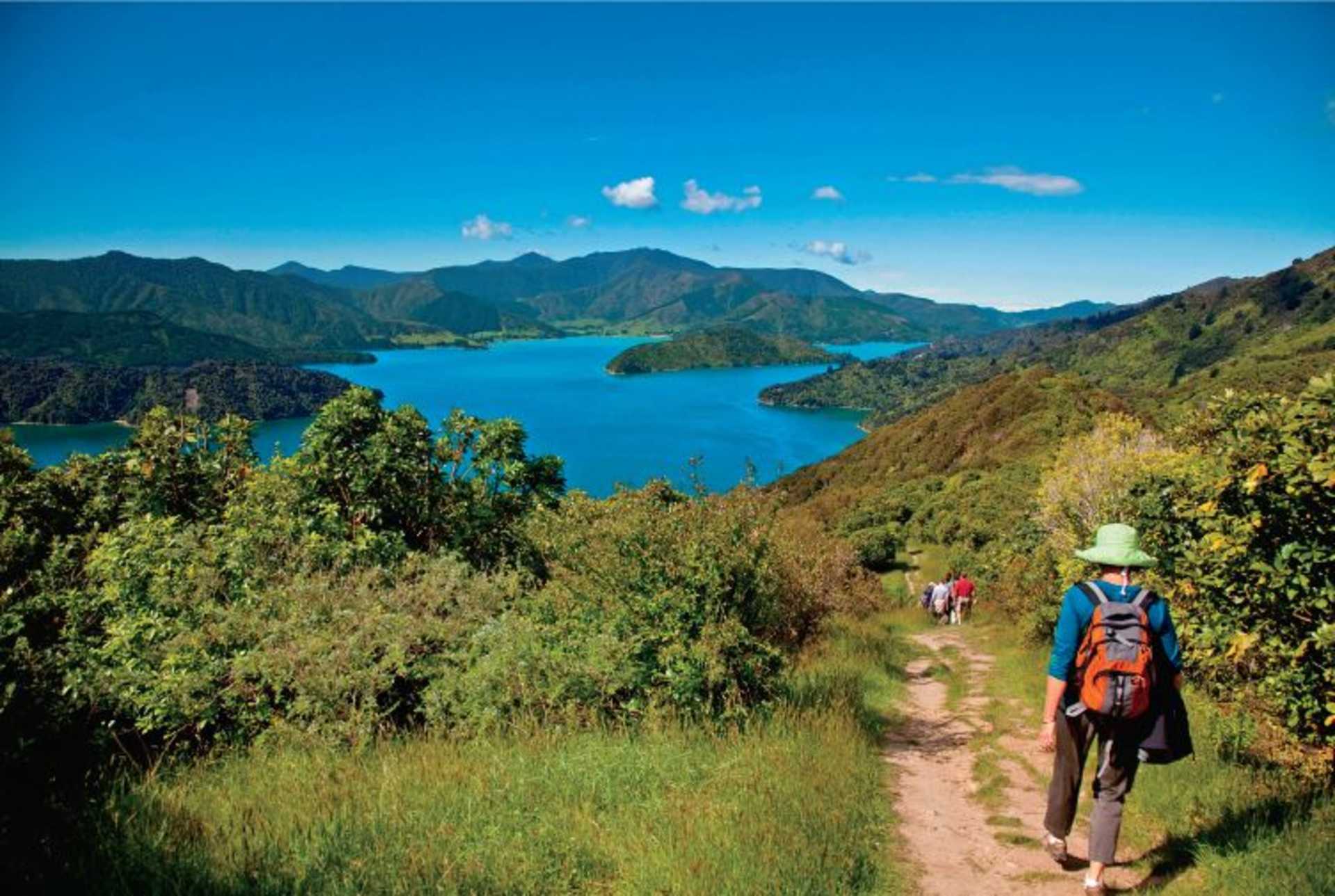 A scenic hiking trail winds through lush, verdant vegetation, leading towards a breathtaking vista of a serene, azure lake surrounded by majestic mountains in the distance.
