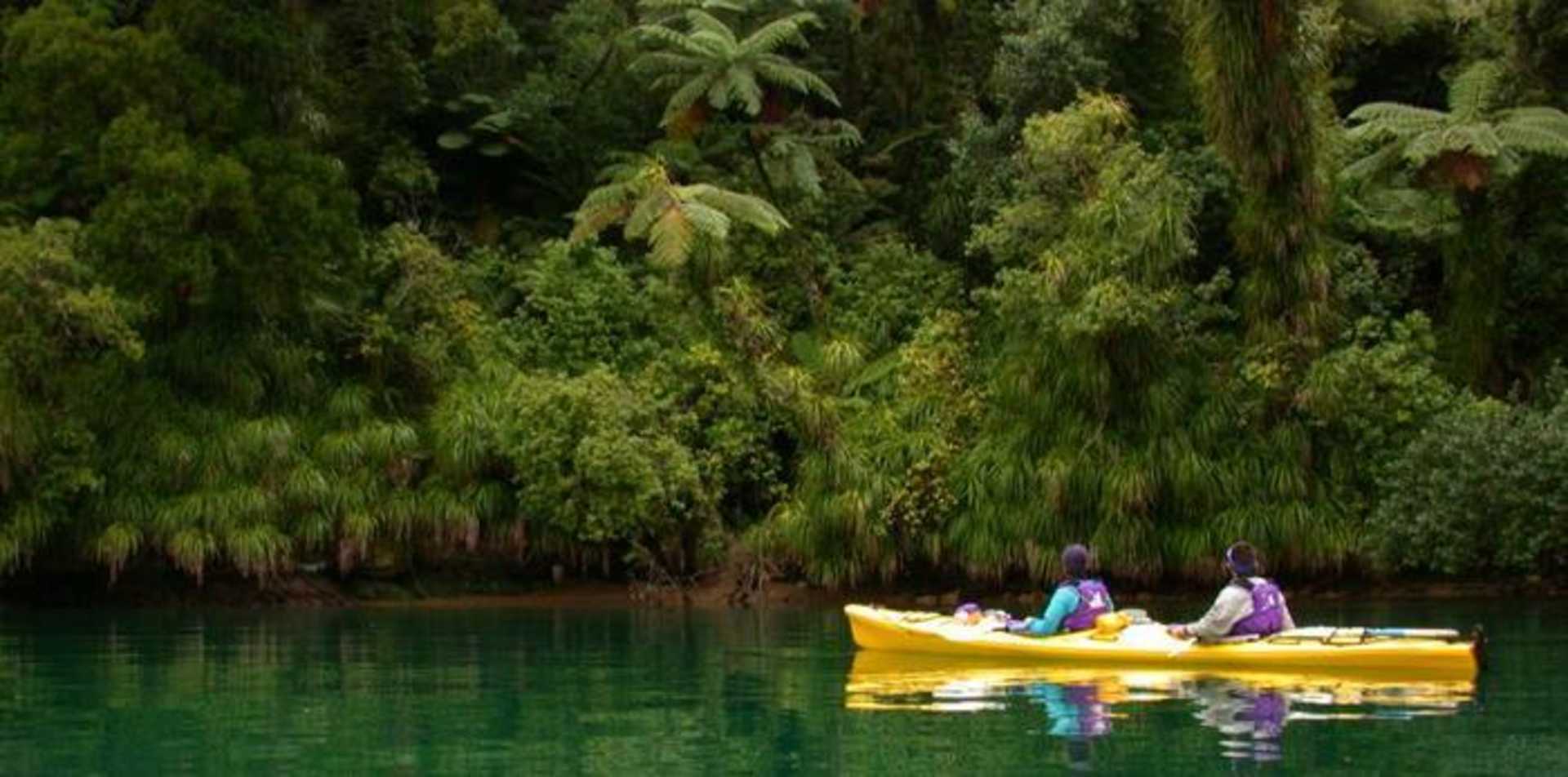 A lush, verdant forest surrounds a tranquil, emerald-green lake, where two people are leisurely paddling in a yellow boat.