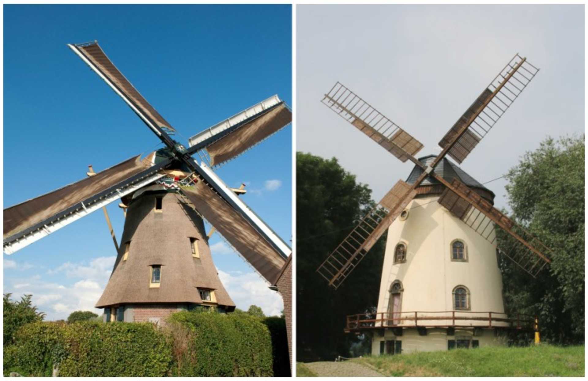 Two traditional wooden windmills stand against a clear blue sky and lush green foliage, showcasing their distinctive architectural features and blades.