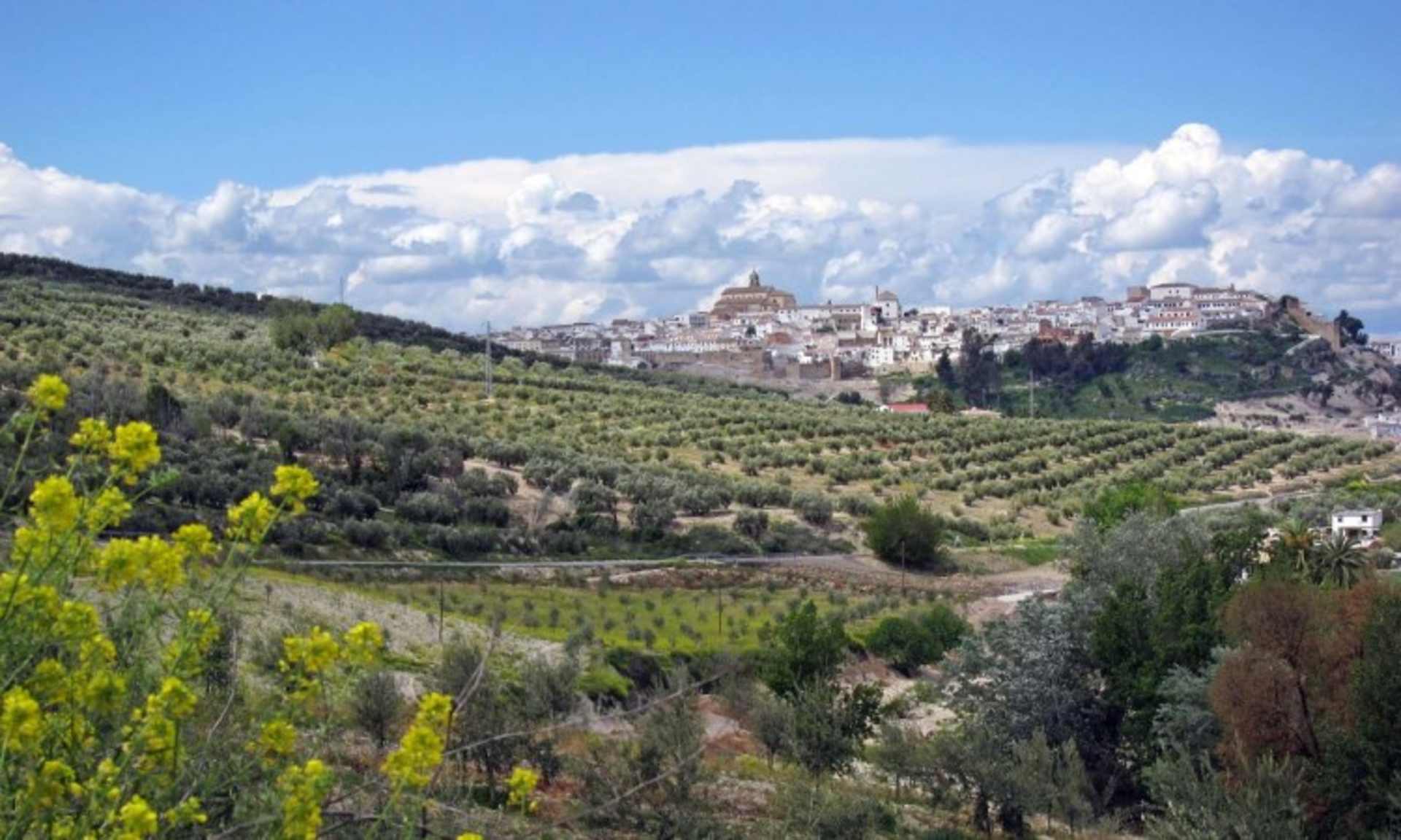 A picturesque Italian town nestled atop a hill, surrounded by lush vineyards and olive groves, with a dramatic cloudy sky overhead.