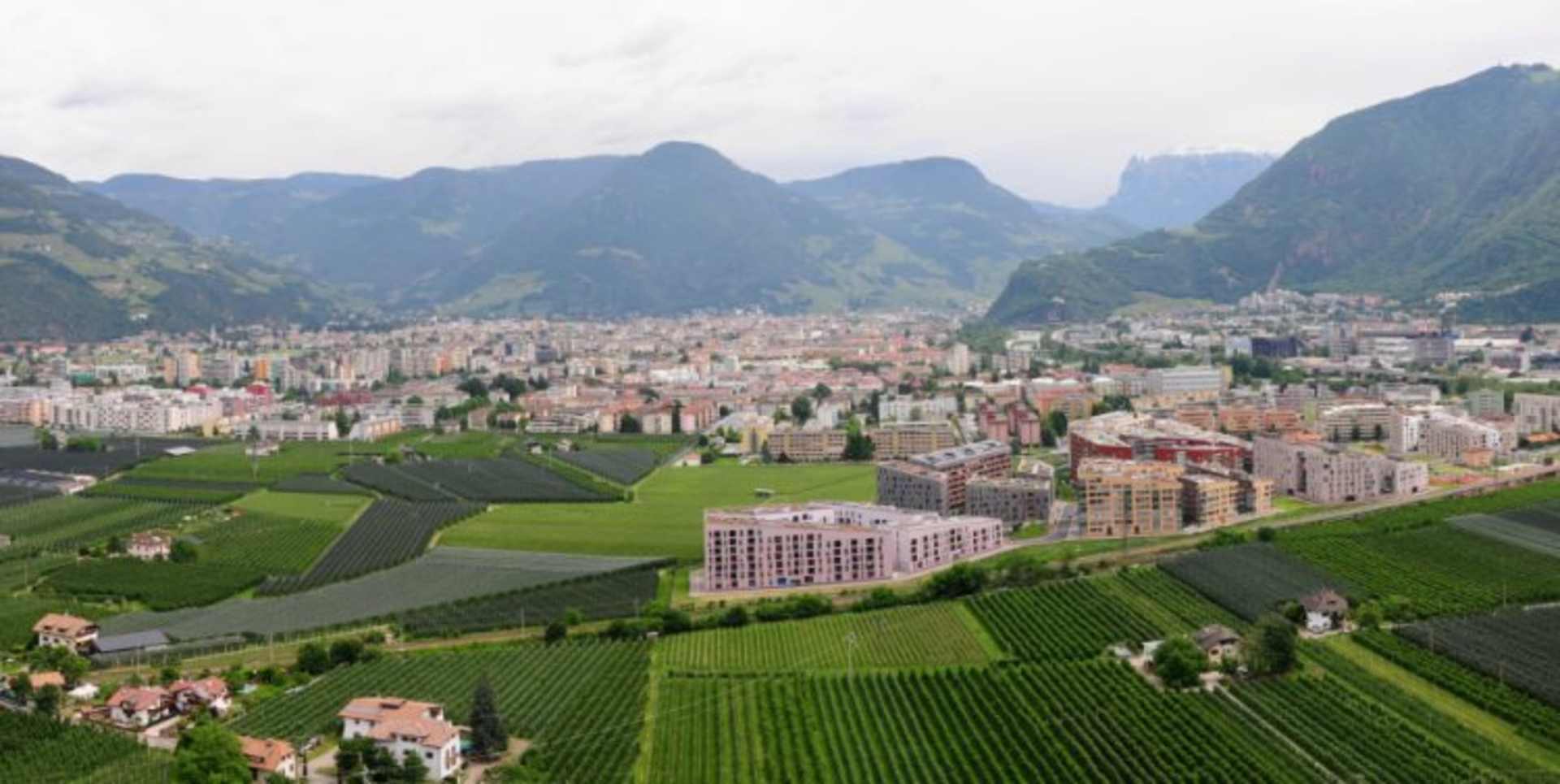 A sprawling city nestled among lush green hills and towering mountains, with a patchwork of buildings, roads, and vineyards in the foreground.