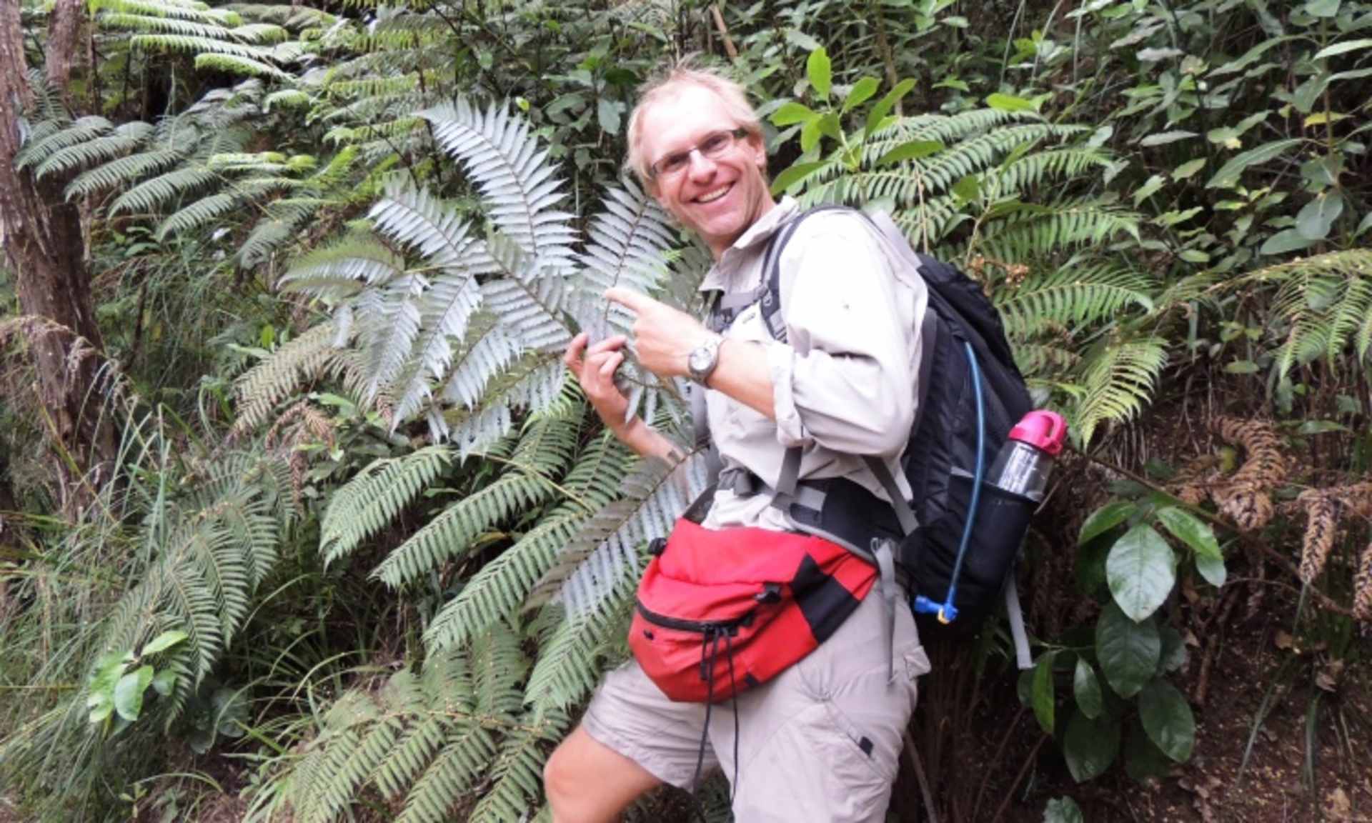 A person wearing a beige outfit and a backpack stands amidst lush, green foliage in what appears to be a tropical forest or jungle setting.