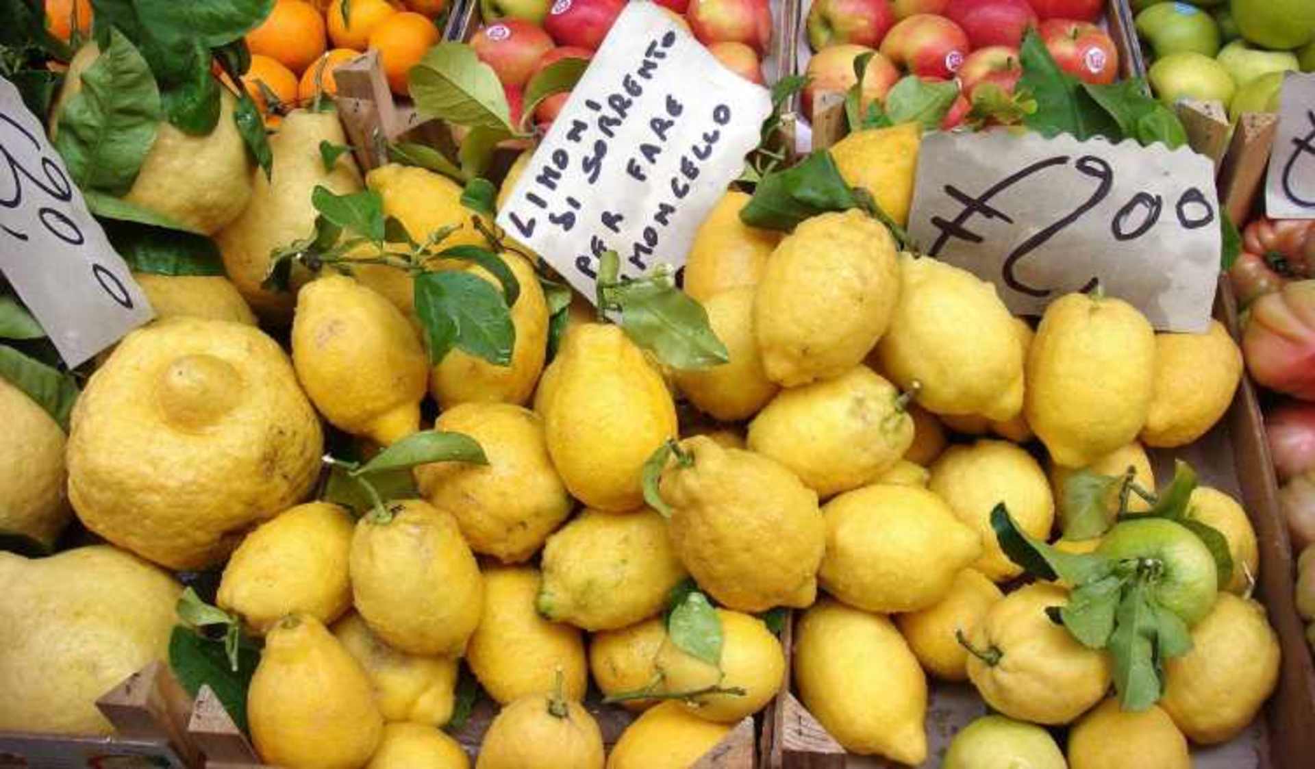 A vibrant display of various yellow and green citrus fruits, including lemons and limes, arranged on a market stall with price tags visible.