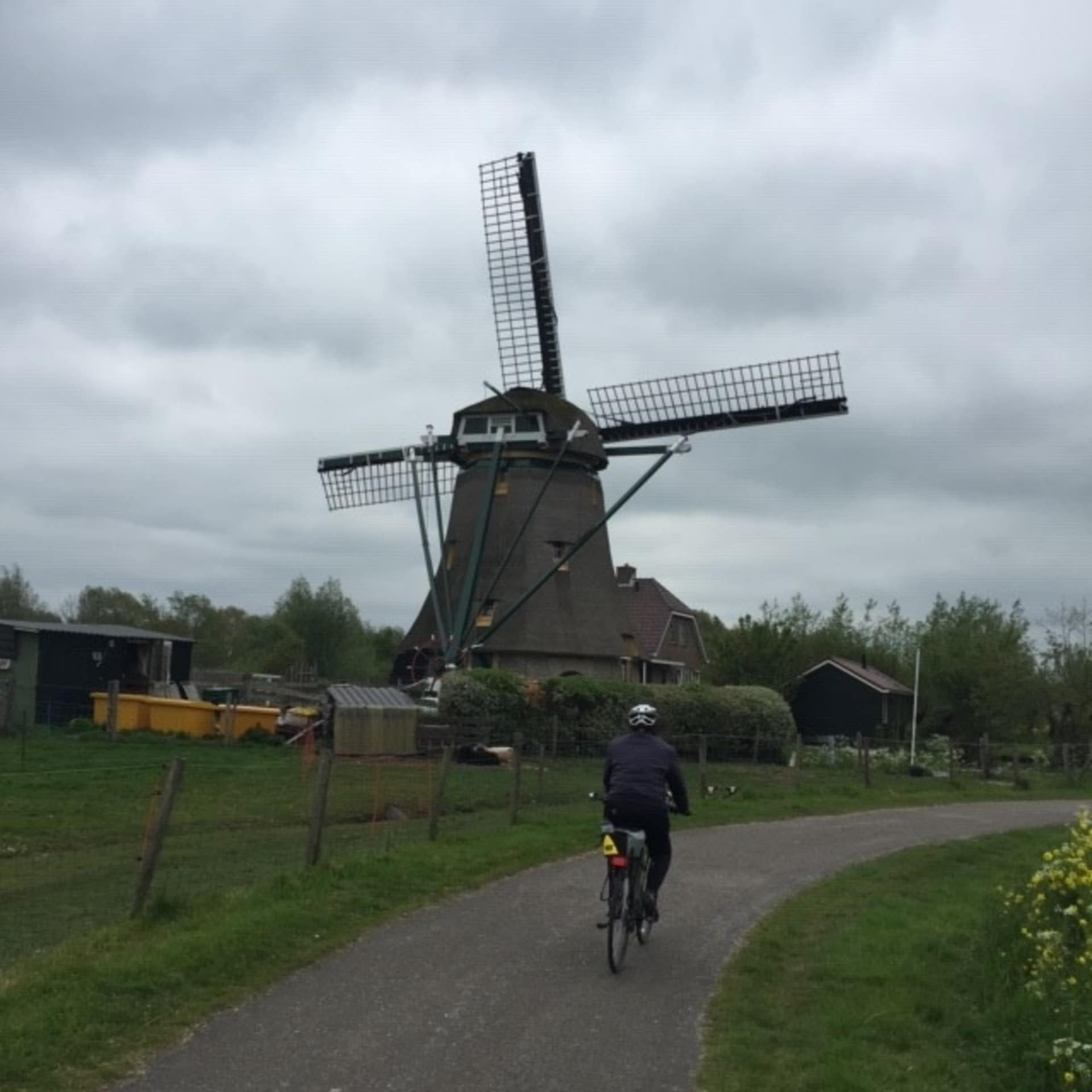 A person on a bicycle rides along a path in front of a traditional Dutch windmill set against a cloudy sky.