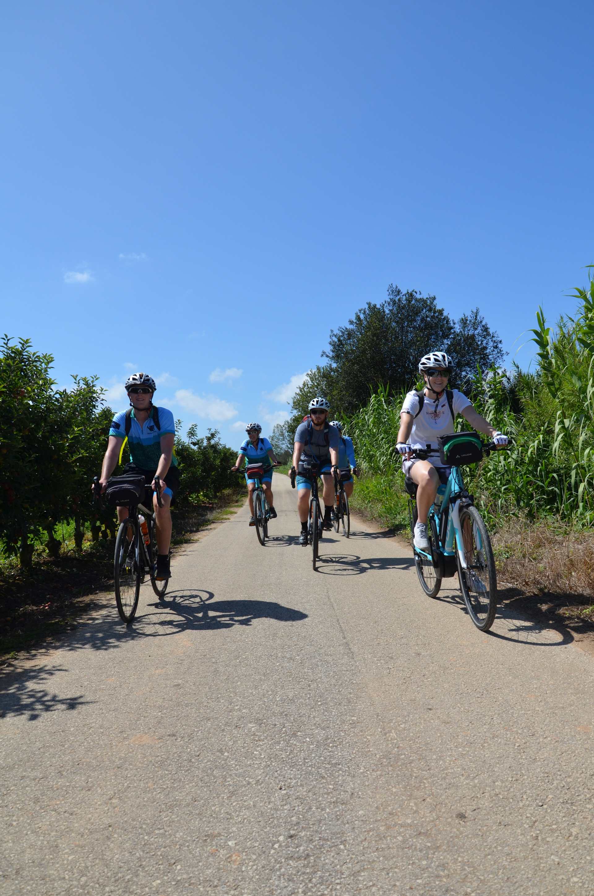 A group of cyclists riding on a dirt path surrounded by lush greenery and a clear blue sky.
