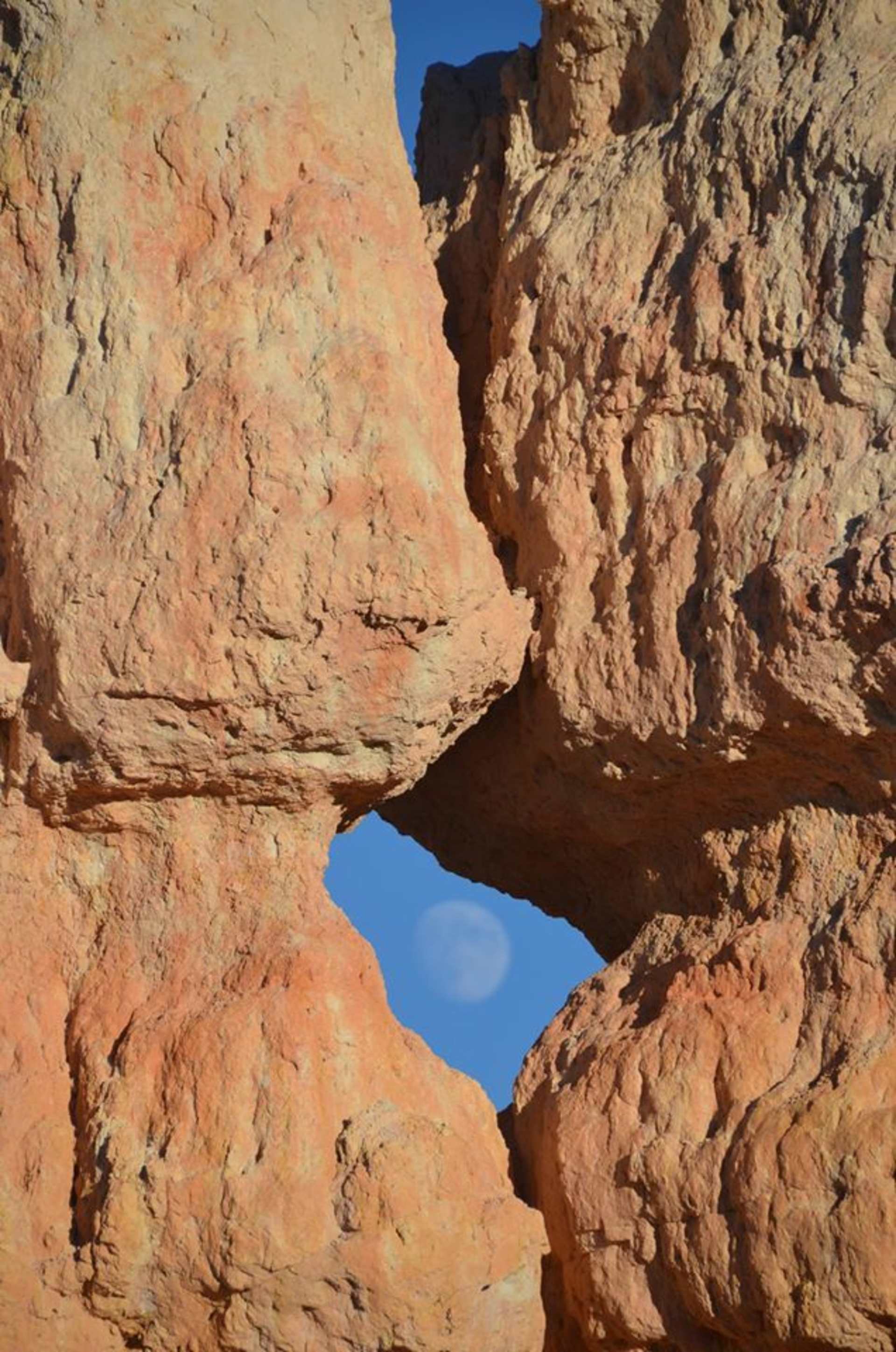 Rugged, reddish-brown rock formations frame a clear blue sky in the background, creating a striking natural landscape.