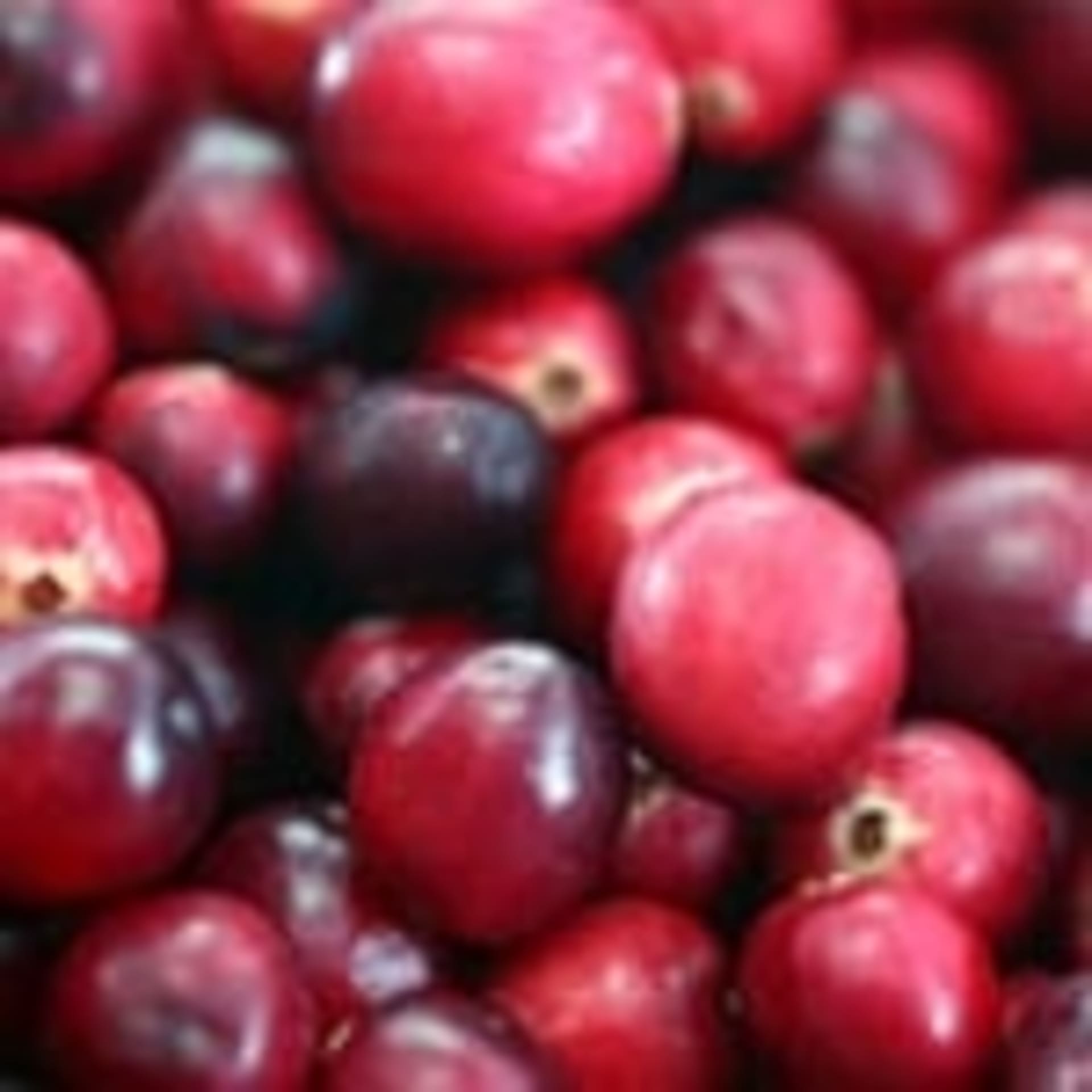 A close-up view of a pile of fresh, ripe, red cranberries, some with a darker hue, creating a vibrant and textured display.