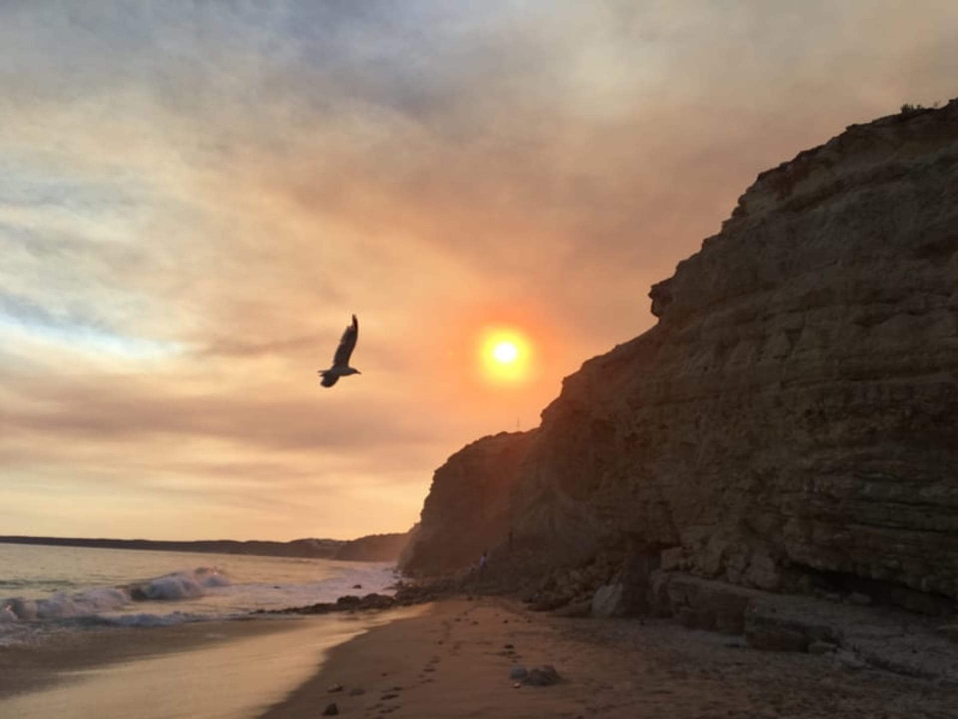 A dramatic sunset over a rocky coastline, with a lone bird soaring against the vibrant sky.