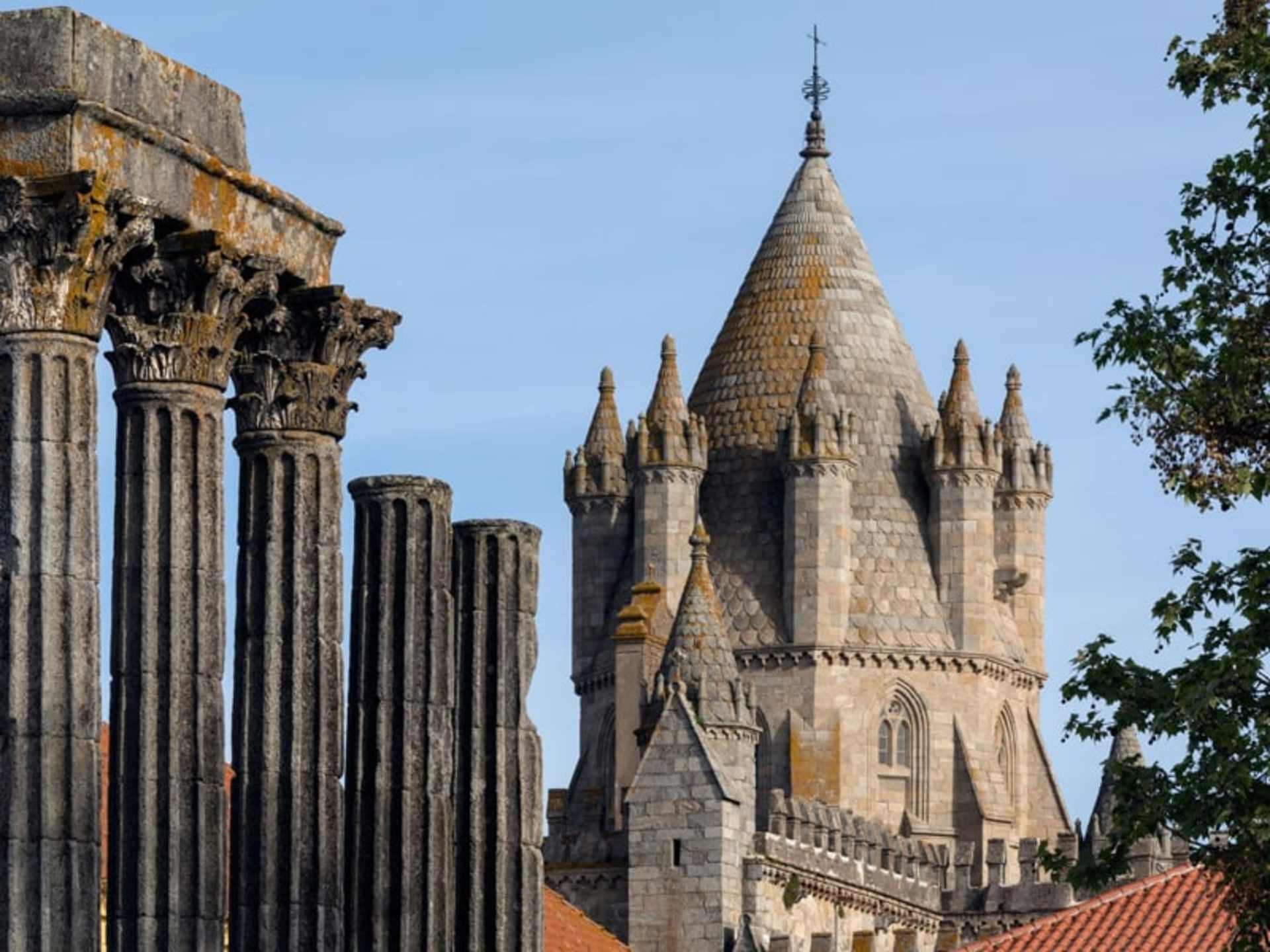 A towering, ornate stone cathedral with a distinctive spire rises above the surrounding trees and columns in the foreground.