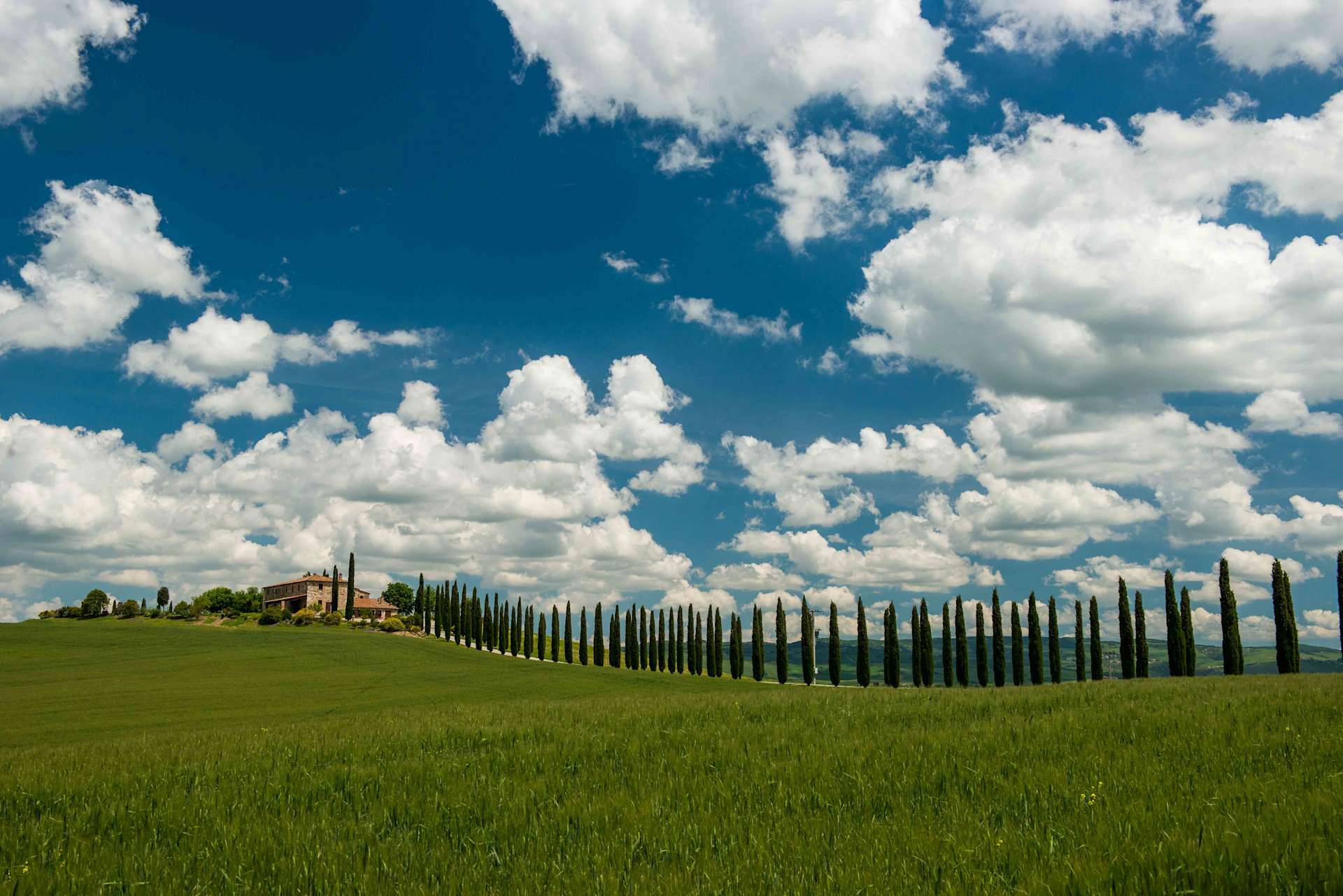 A lush green field stretches out in the foreground, with a row of tall cypress trees lining the horizon against a backdrop of a vibrant blue sky dotted with fluffy white clouds.