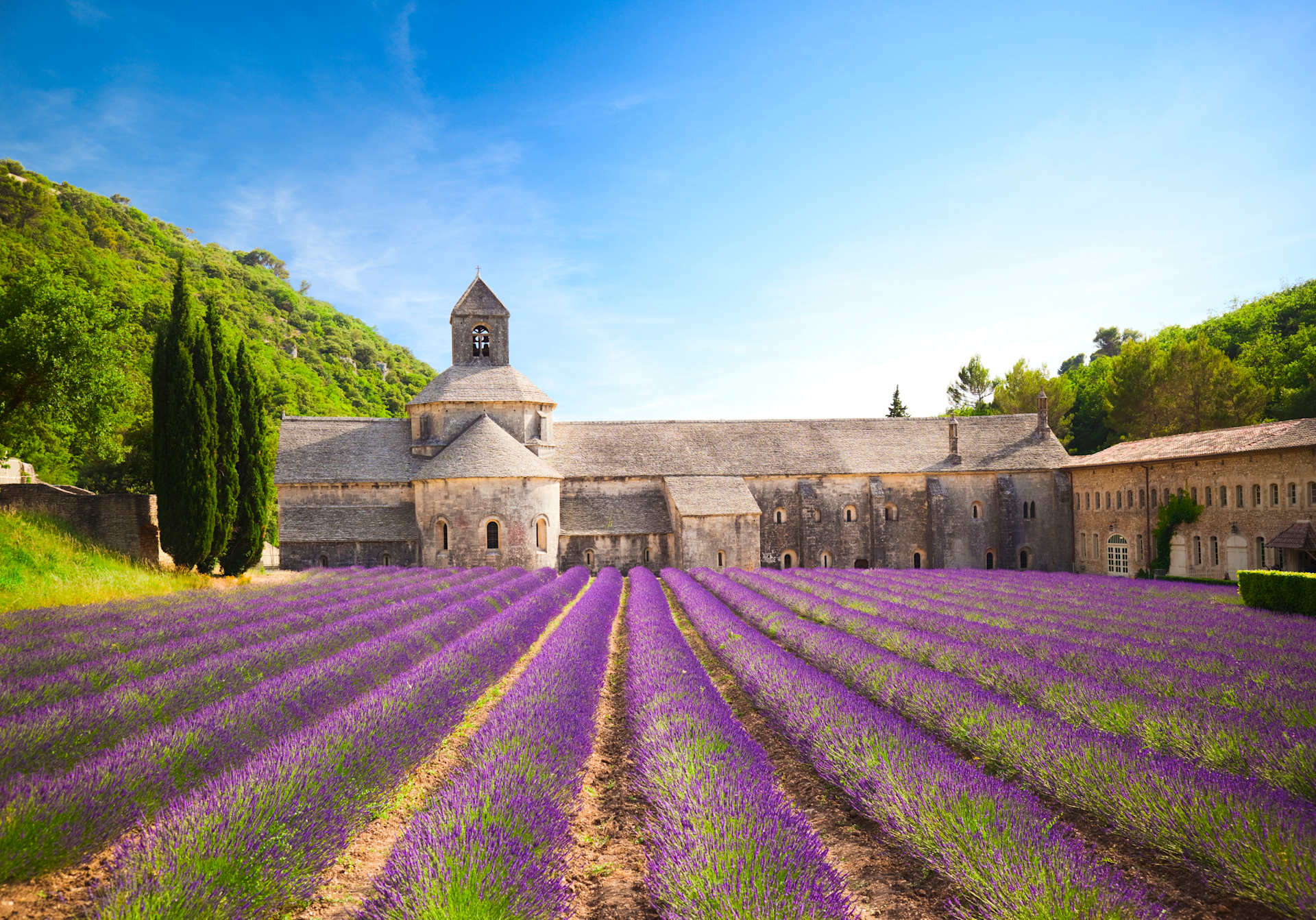 A picturesque lavender field stretches out in the foreground, leading up to a historic stone abbey nestled among lush green trees against a vibrant blue sky.