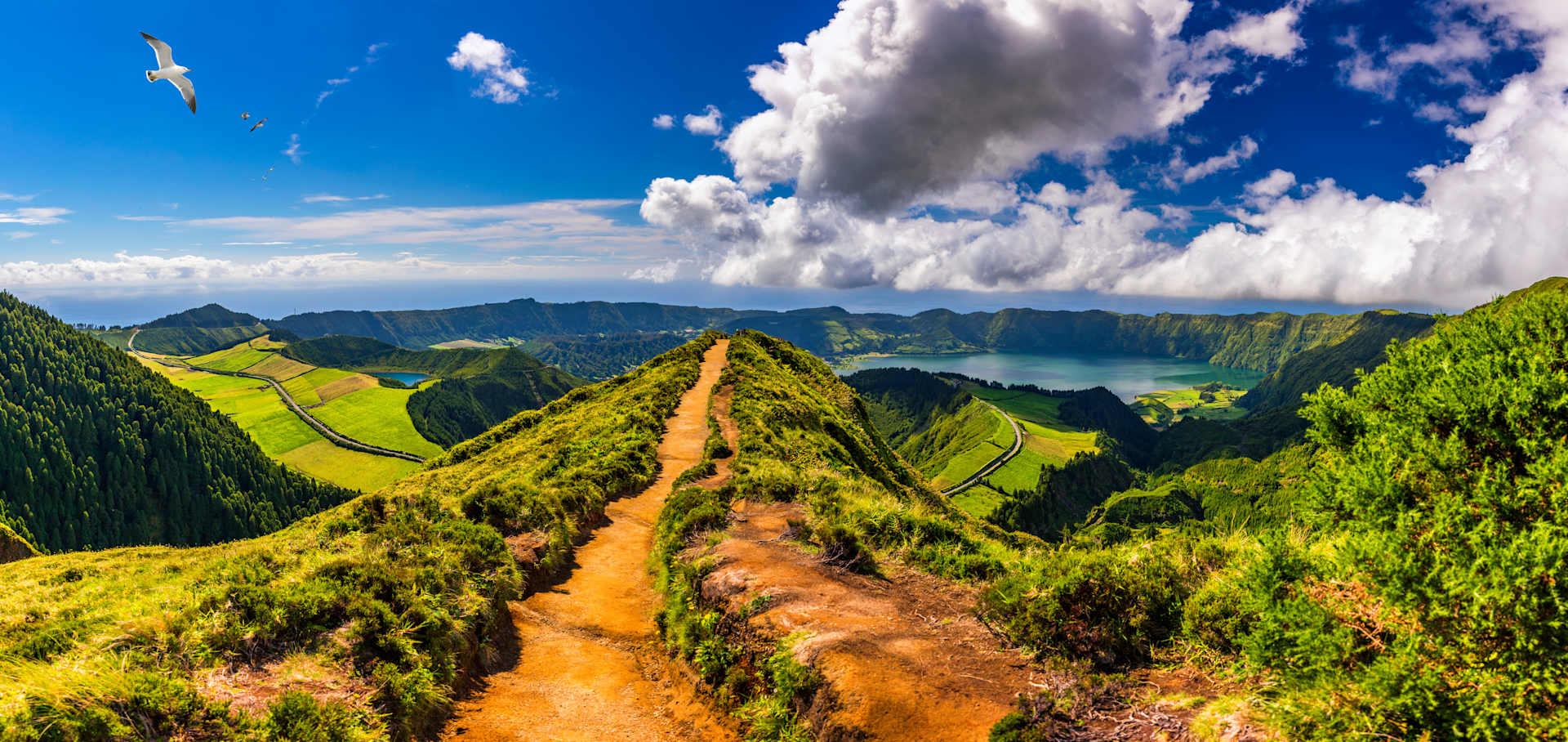 A dirt path winds along a grassy ridge towards a serene lake surrounded by lush green hills under a bright blue sky with fluffy clouds.