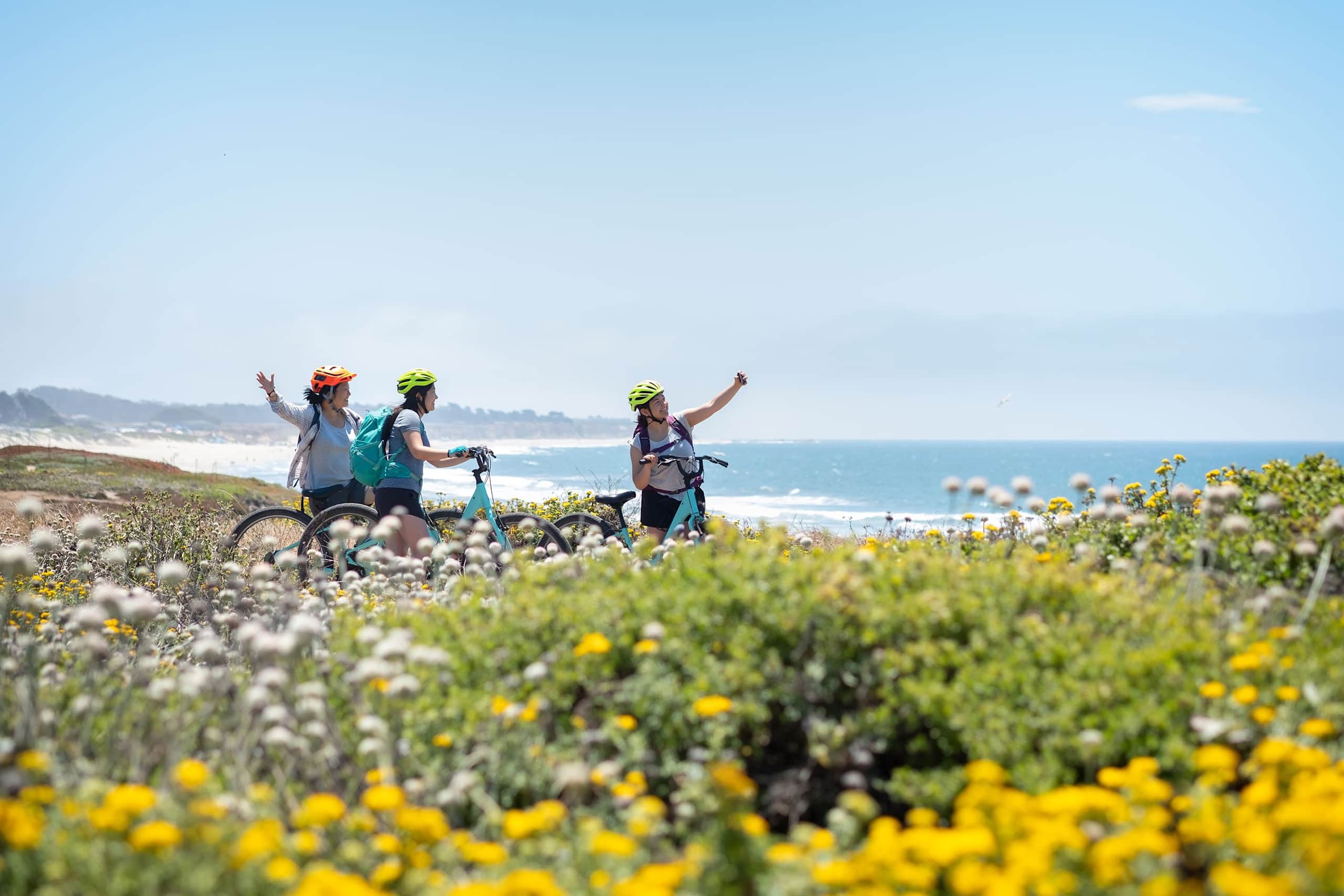 A group of cyclists riding through a scenic coastal landscape filled with vibrant yellow wildflowers, with the ocean visible in the background.
