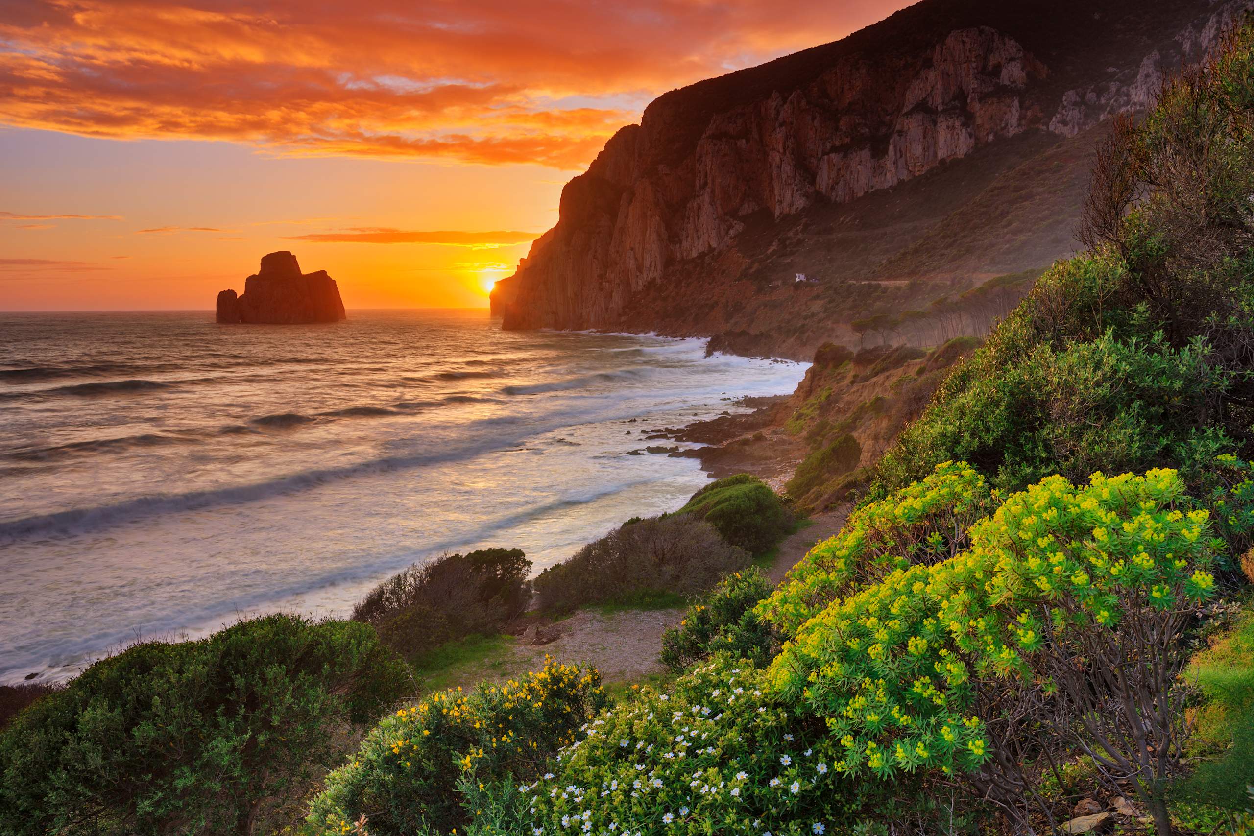 A breathtaking coastal landscape with rugged cliffs, crashing waves, and a vibrant sunset sky, surrounded by lush greenery and wildflowers in the foreground.