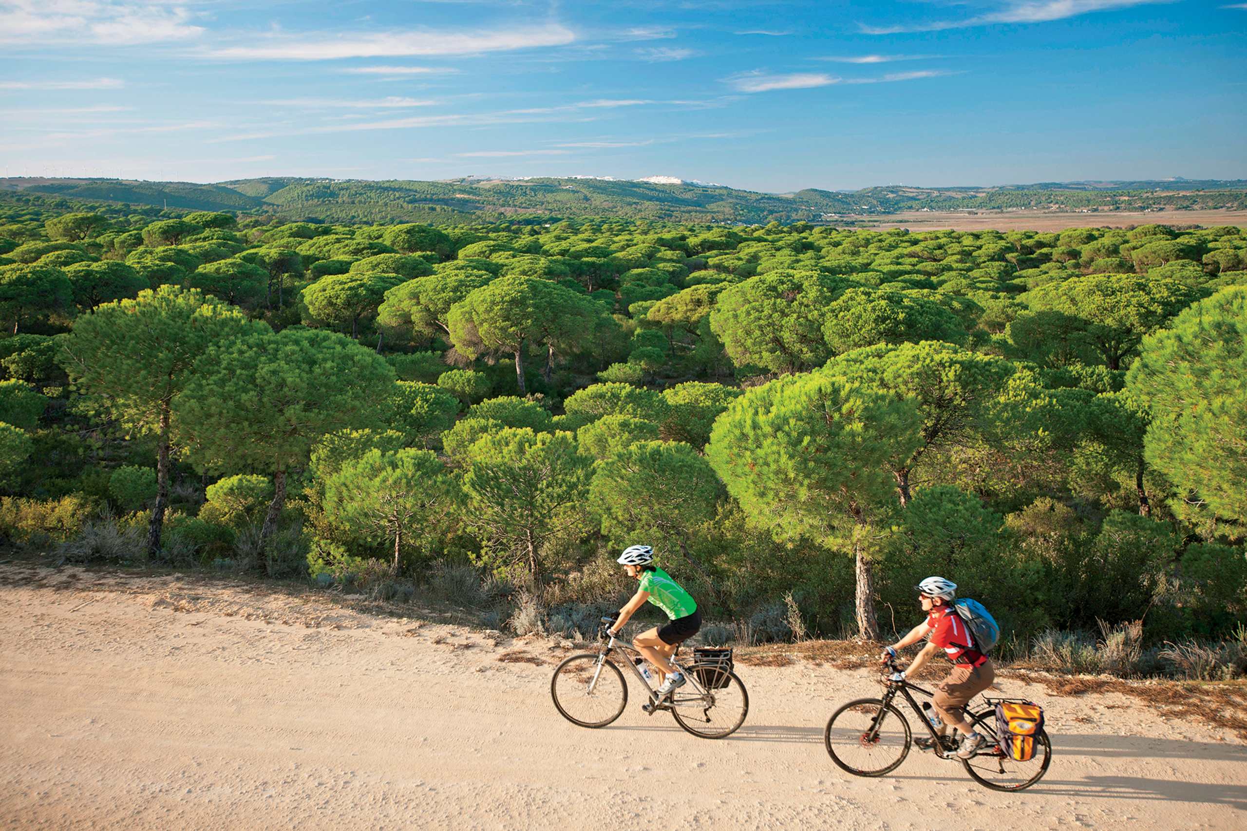 A dirt path winds through a lush, green forest landscape, with two cyclists riding their bicycles in the foreground.