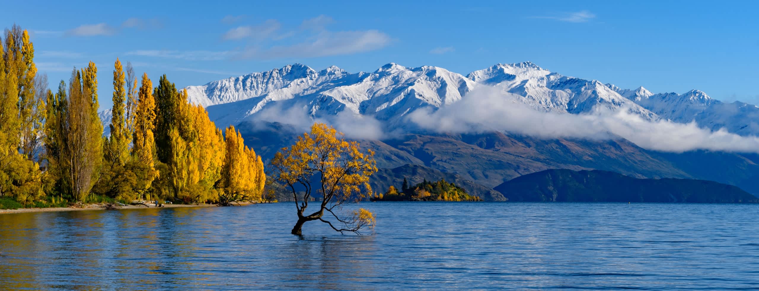A serene lake surrounded by majestic snow-capped mountains and vibrant autumn foliage, with a lone tree standing in the water.