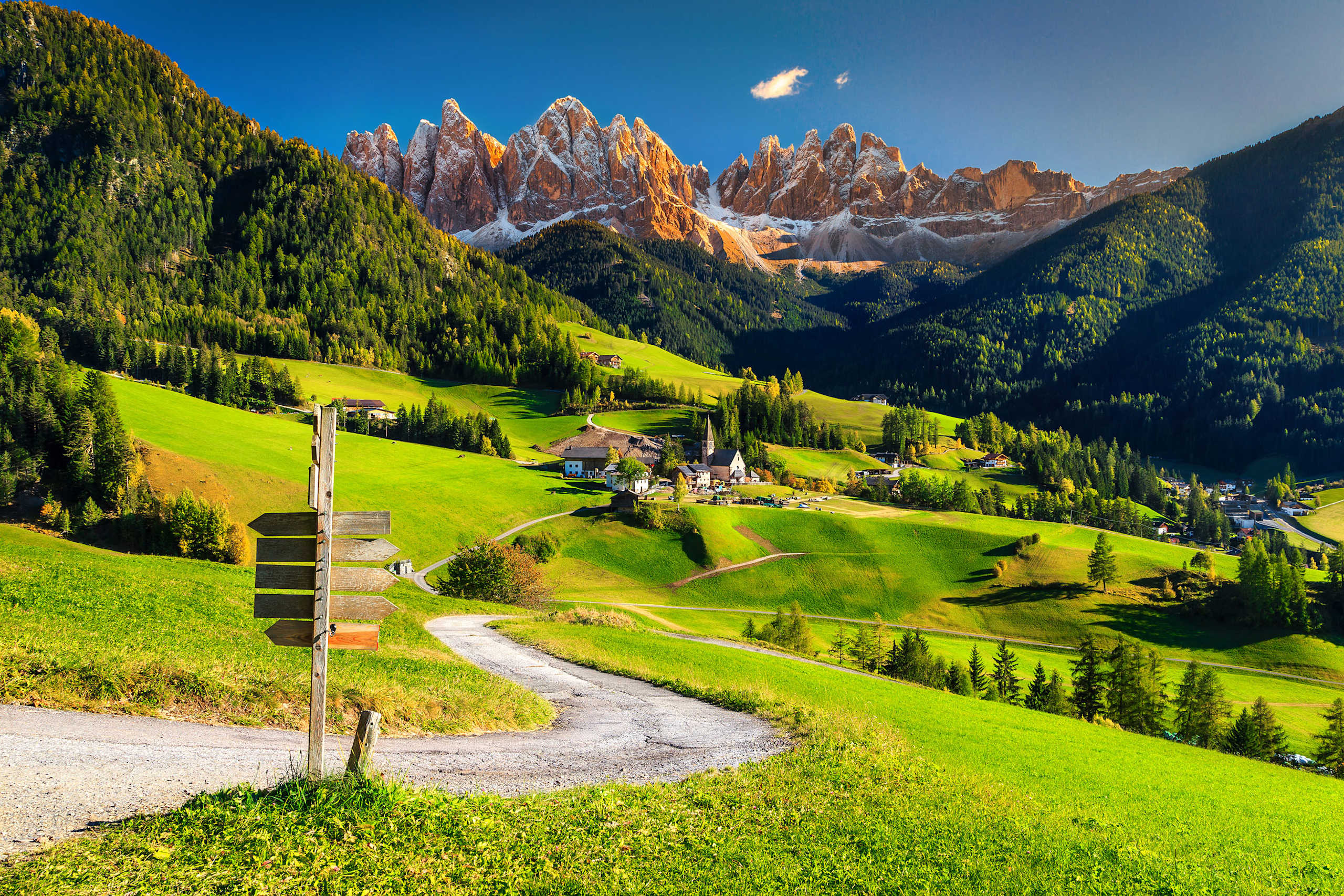A picturesque mountain landscape with a winding path leading through lush green meadows and forests, with towering snow-capped peaks in the background under a clear blue sky.