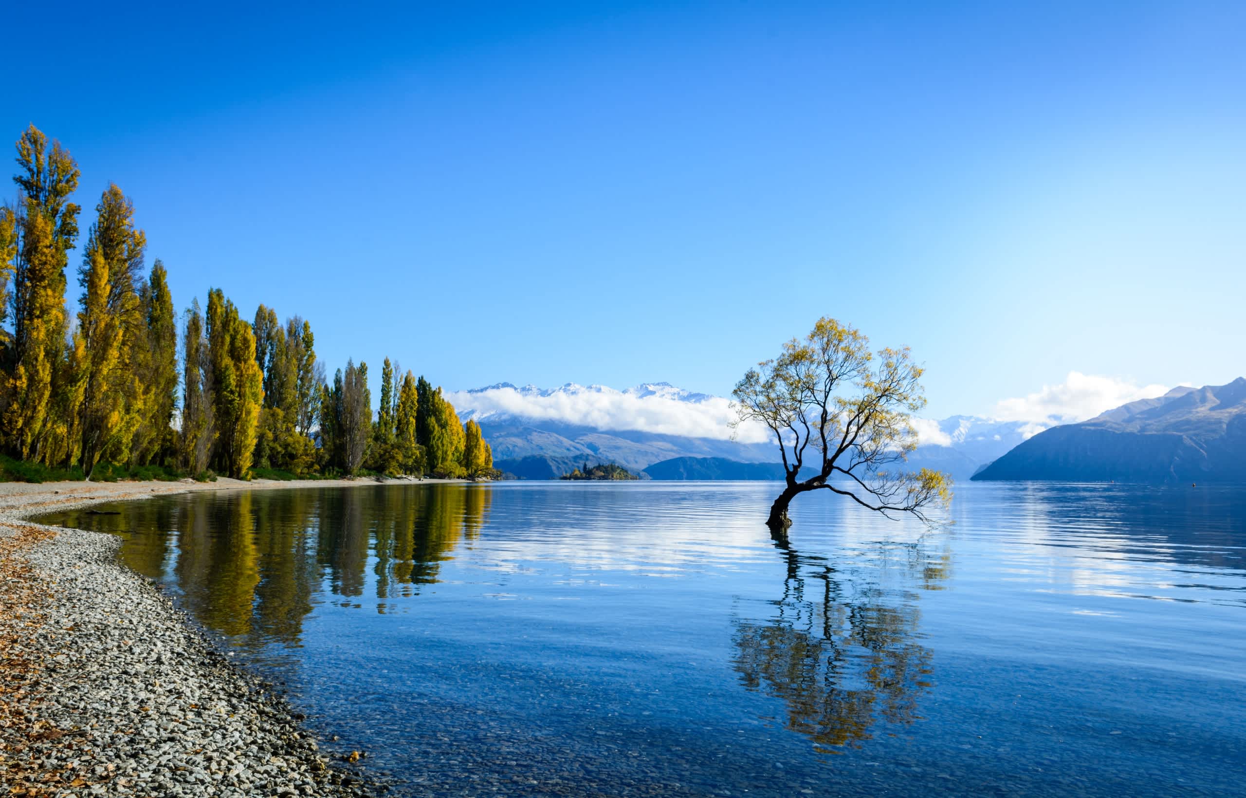 A serene lake surrounded by towering mountains, with a lone tree standing in the calm waters, its reflection mirrored perfectly on the surface.