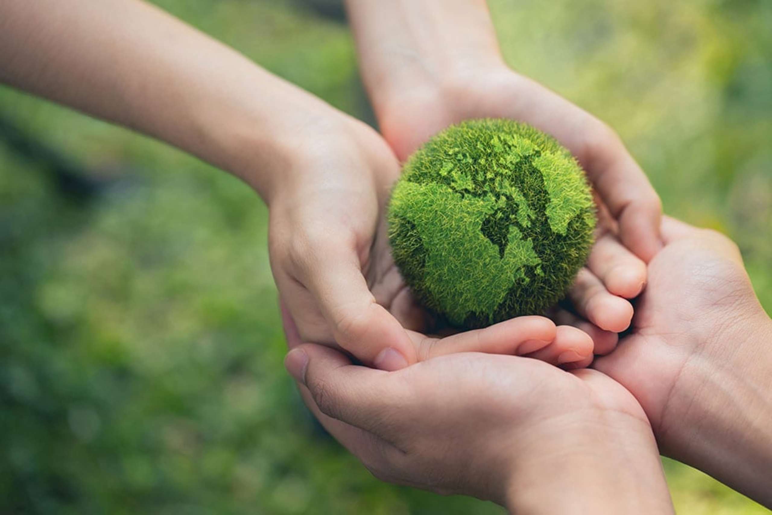 Hands gently holding a moss-covered rock against a lush, green background, symbolizing the delicate balance and connection between nature and human care.