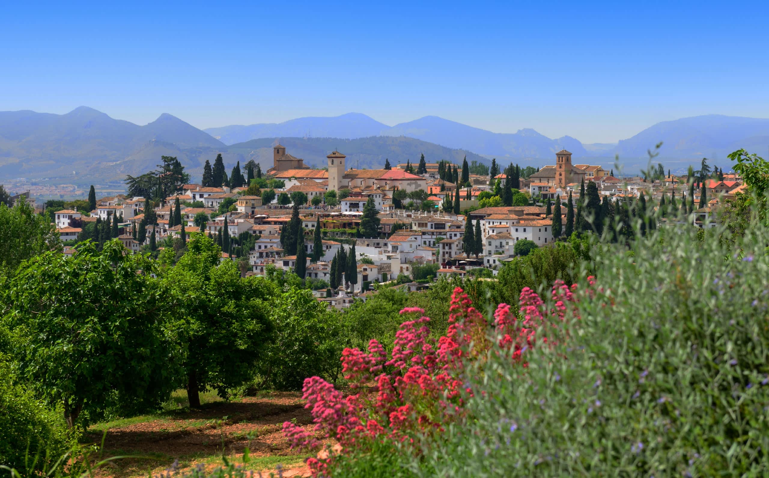 A lush, verdant landscape with vibrant red flowers in the foreground, overlooking a picturesque town nestled among rolling hills and majestic mountains in the distance.