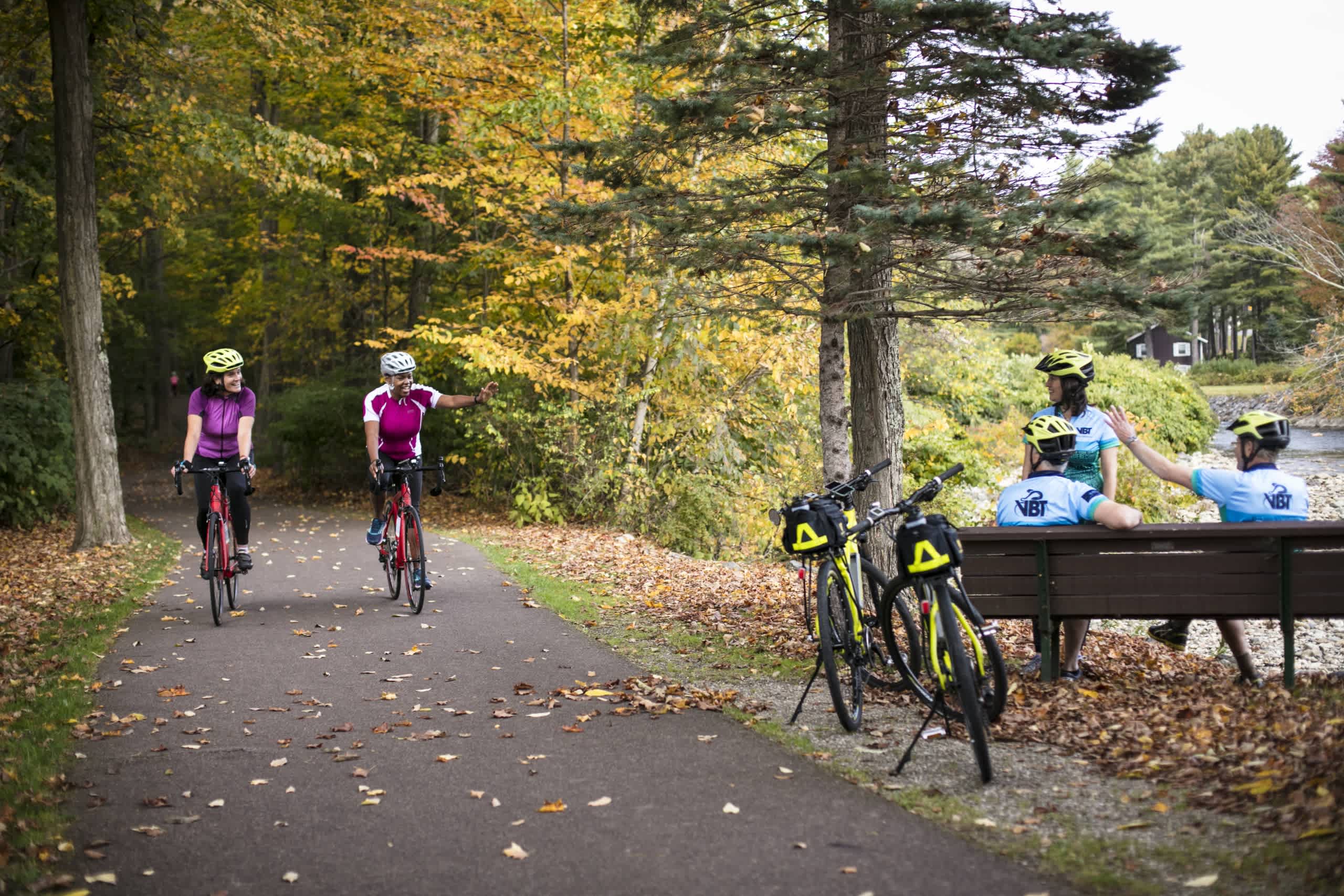 Two cyclists riding on a path surrounded by colorful autumn foliage, with a bench and bicycles in the background.