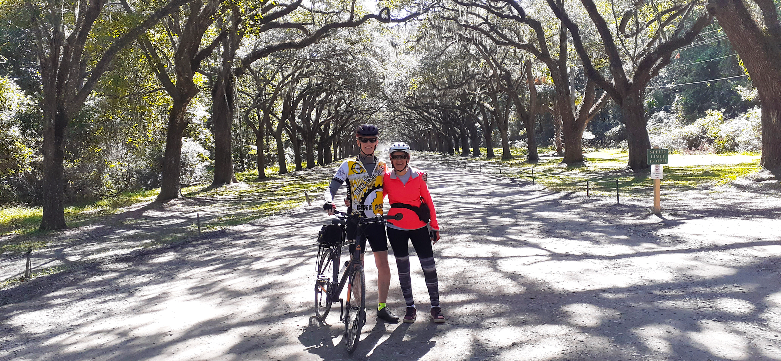 A cyclist and a pedestrian walking on a path surrounded by a canopy of trees, with sunlight filtering through the branches and casting shadows on the ground.