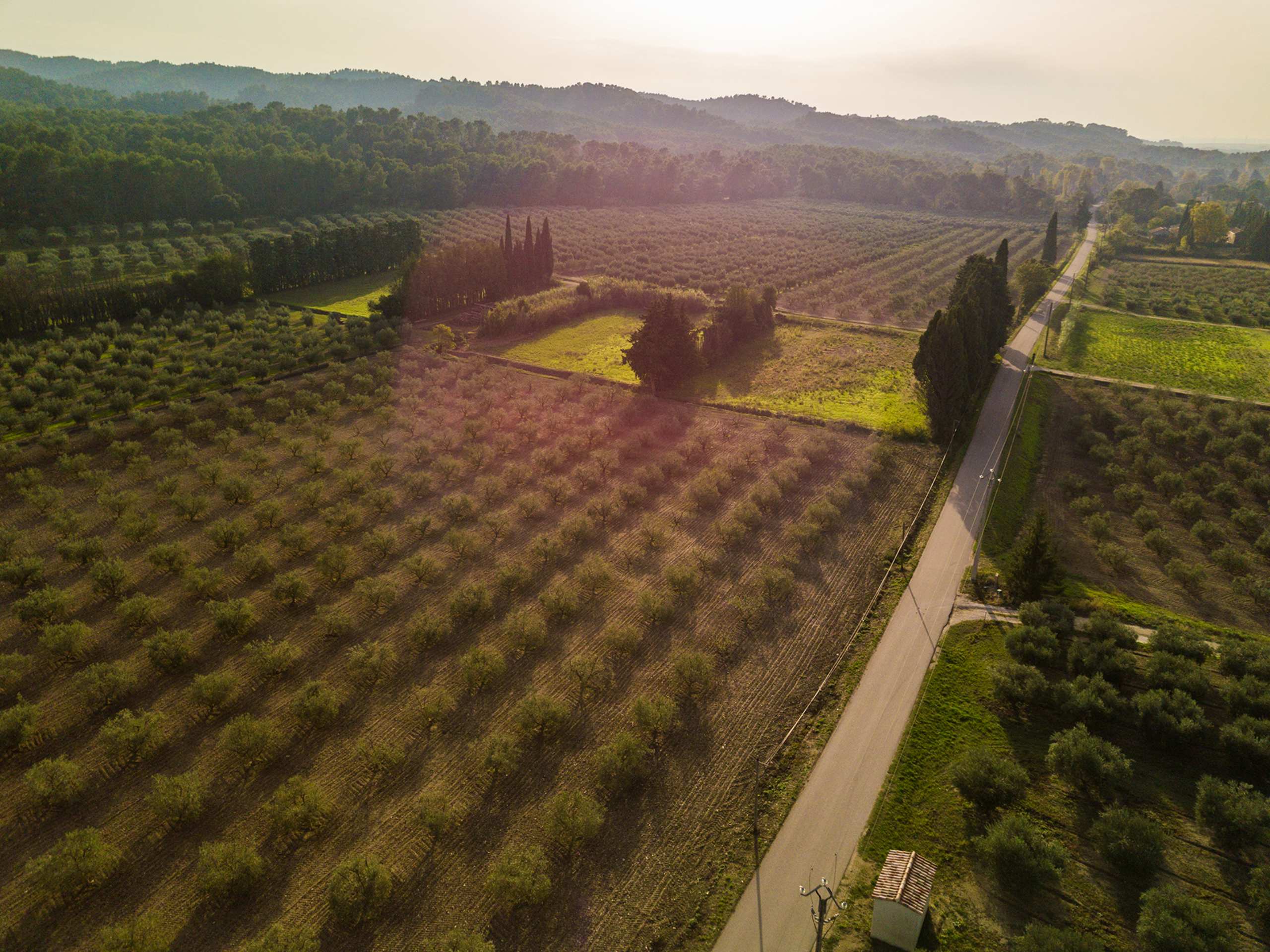 A vast, rolling landscape of vineyards and orchards stretches out, with mountains rising in the distance under a hazy, golden sky.