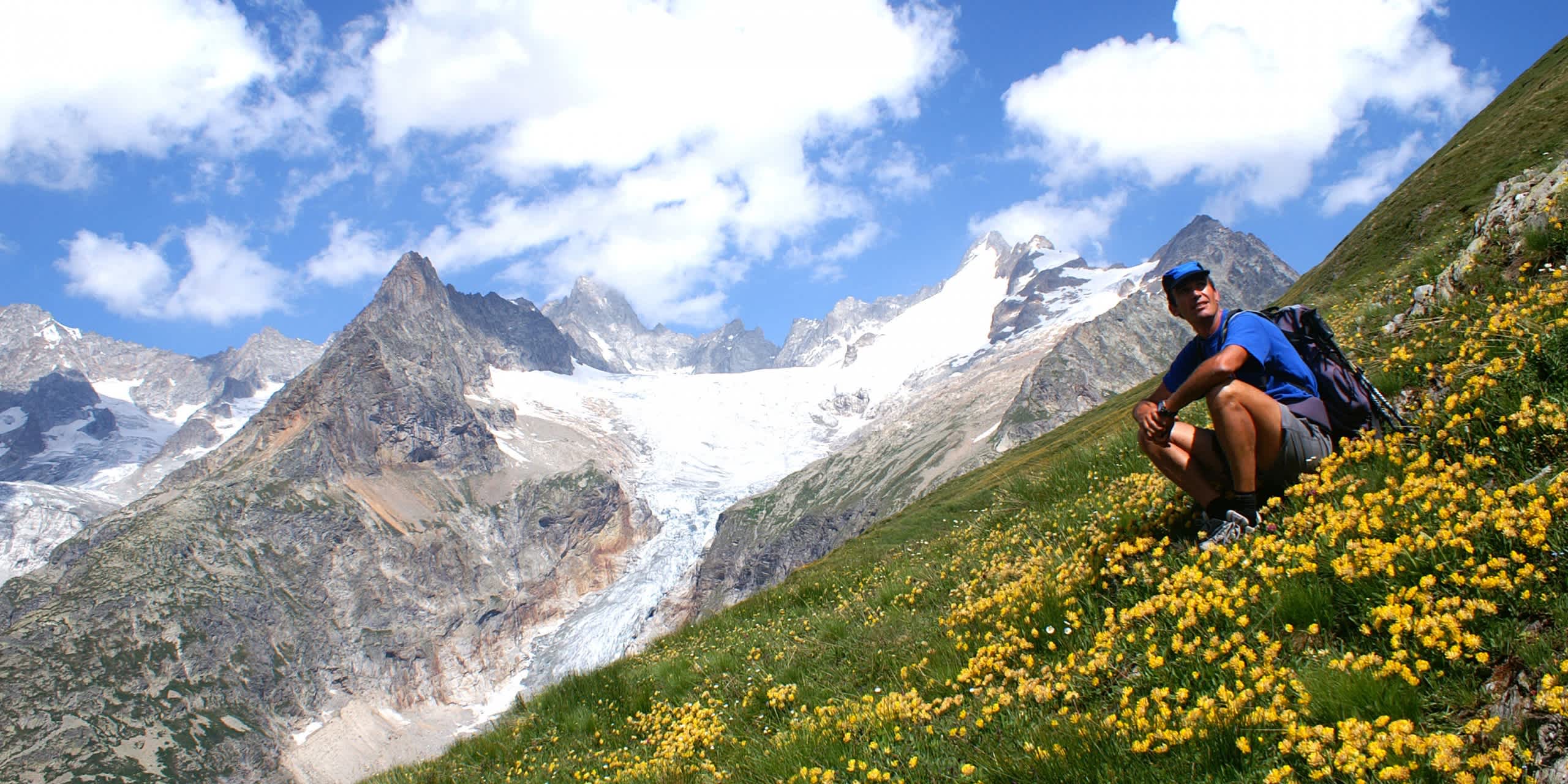 Rugged snow-capped mountains rise against a blue sky dotted with clouds, while a person in blue clothing stands amidst a field of vibrant yellow flowers in the foreground.