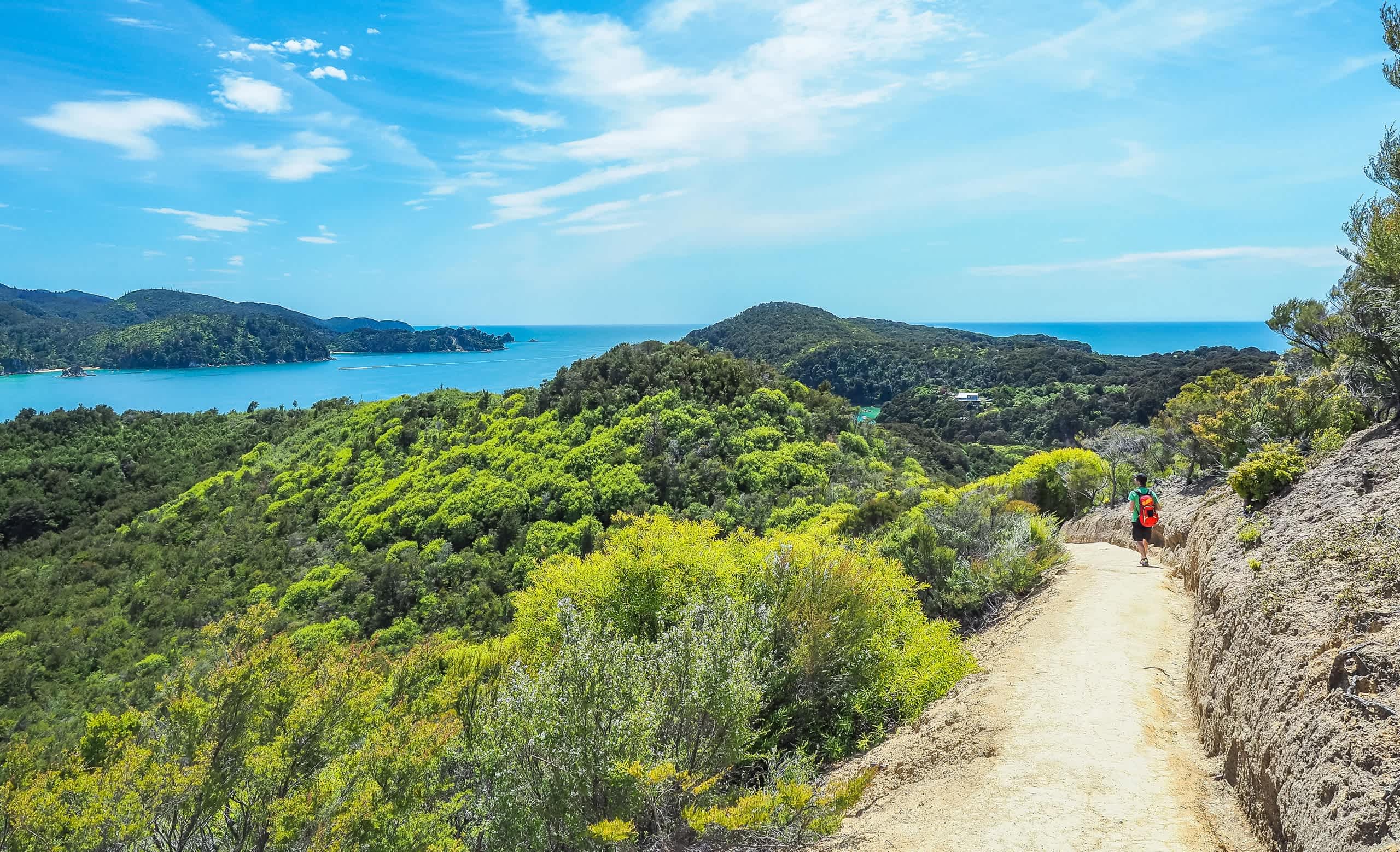 A scenic hiking trail winds through lush, verdant foliage, offering a breathtaking view of the turquoise waters and rugged coastline in the distance.