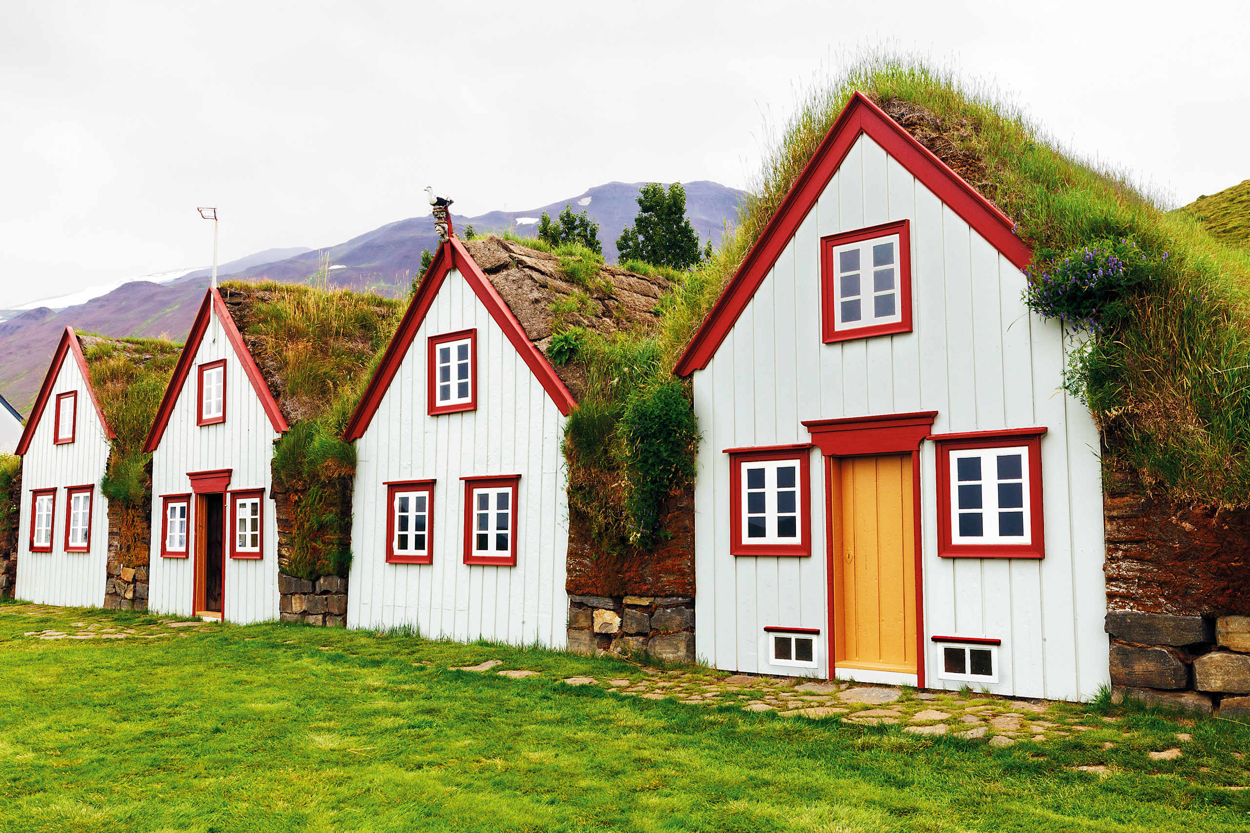 A row of charming, traditional Icelandic houses with red roofs and grassy sod coverings, set against a backdrop of rugged mountains in the distance.