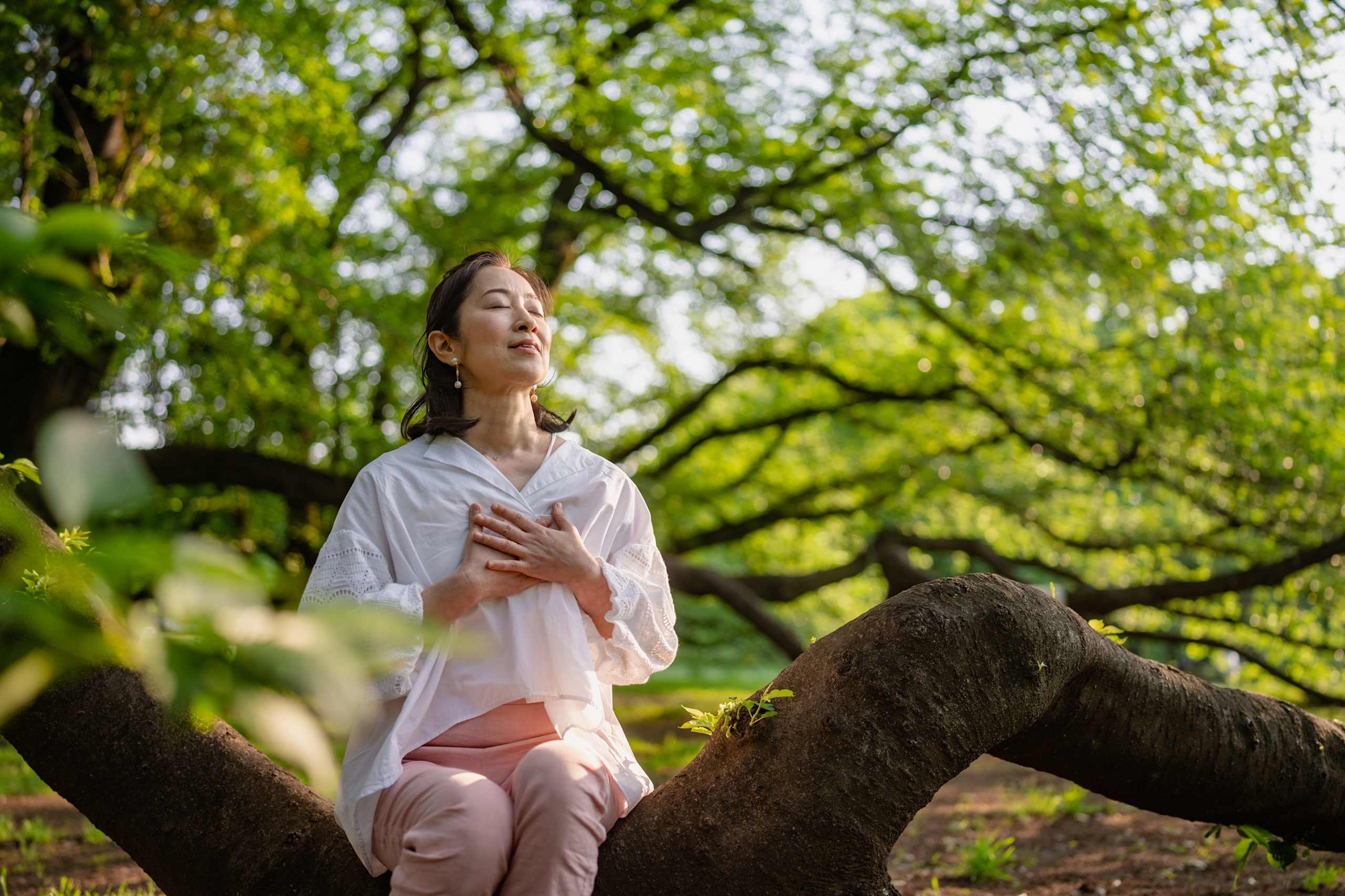 A woman in a white blouse and pink pants sits on a rock in a lush, green garden with trees and foliage in the background.