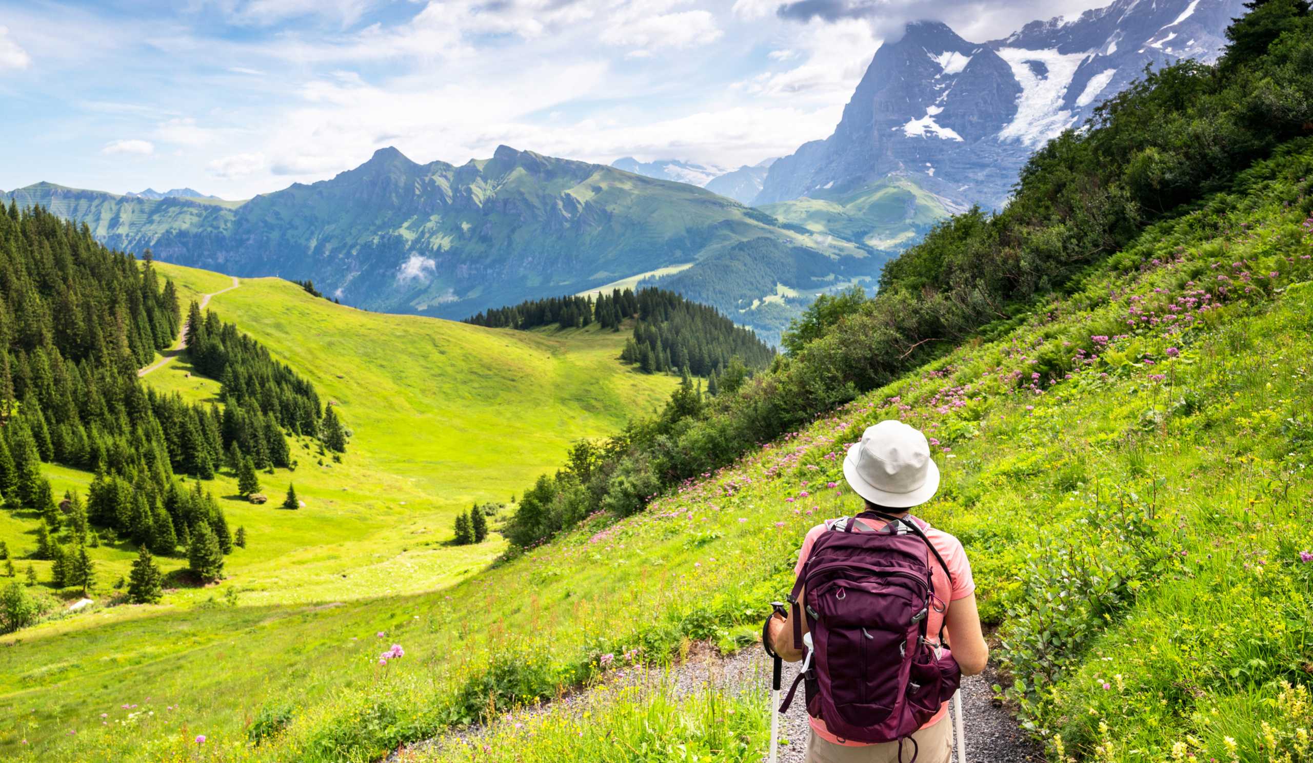 A person wearing a backpack walks along a lush, green mountain trail, surrounded by towering snow-capped peaks and dense forests in the background.