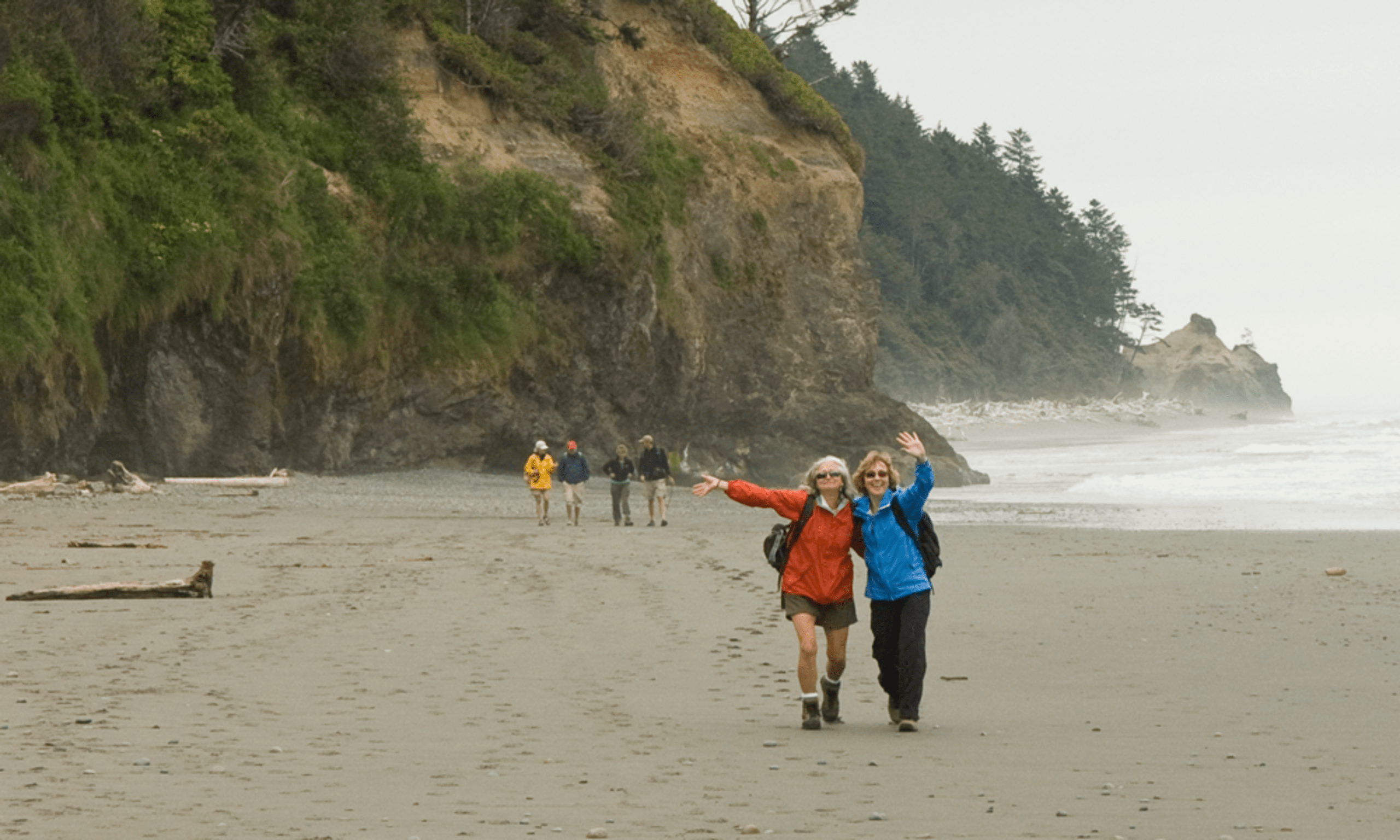 A group of people walking along a rugged, rocky coastline with a dense forest in the background.