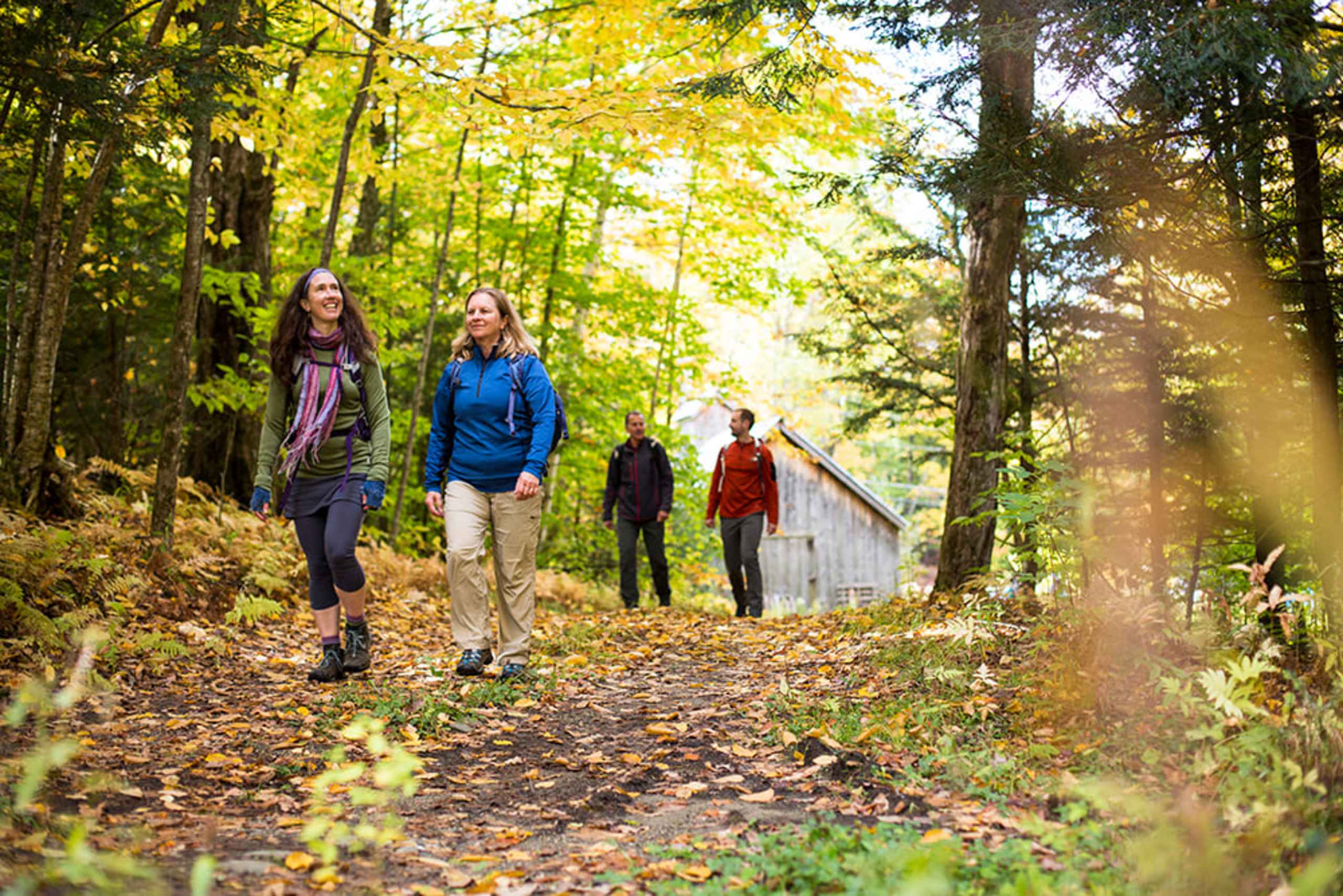 A group of people walking on a path through a vibrant, autumnal forest, with sunlight filtering through the trees and fallen leaves covering the ground.