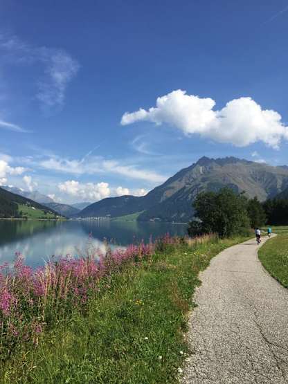 A scenic landscape with a paved path winding through a grassy field dotted with pink wildflowers, leading to a serene lake surrounded by mountains under a blue sky with fluffy white clouds.