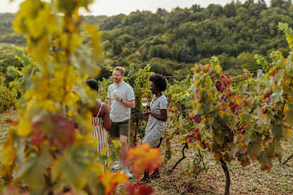 Three friends enjoy a relaxed wine tasting while standing among colorful vineyard rows, with rolling green hills in the background.