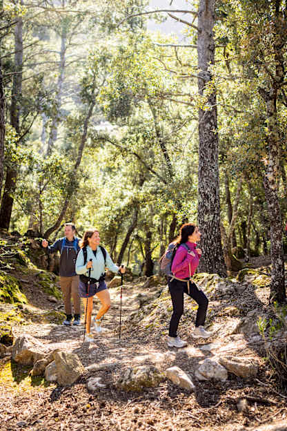 Three hikers walk along a sunlit forest trail, surrounded by mossy rocks and tall trees, enjoying a bright and peaceful woodland day.