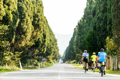 Cyclists ride down a long, tree-lined road flanked by tall cypress trees, enjoying a sunny day and open scenery ahead.