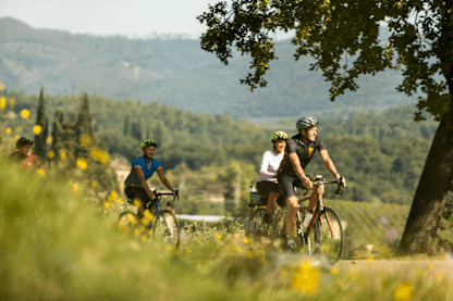 Cyclists ride along a sunny country road lined with wildflowers, with rolling green hills and trees in the background.