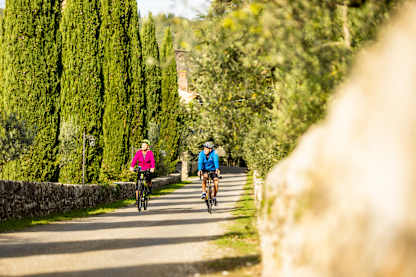 Two cyclists ride along a sunlit country road lined with tall cypress trees and stone walls, surrounded by lush greenery on a bright day