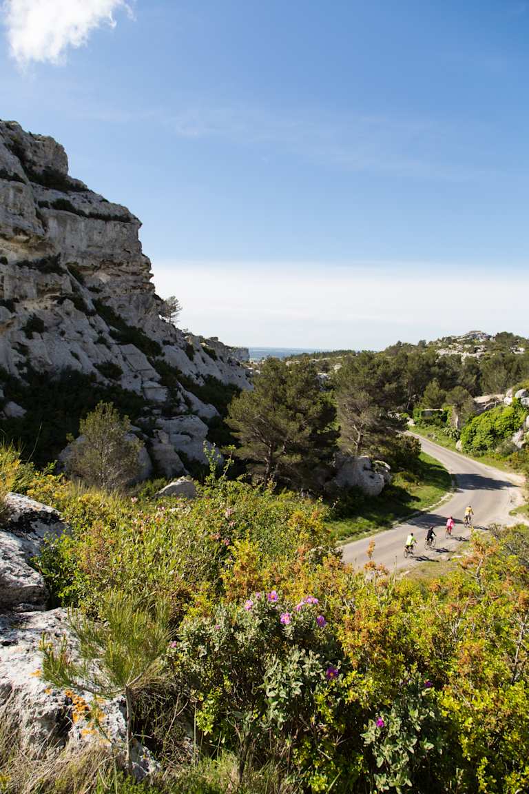 Provence: The Alpilles 2013
