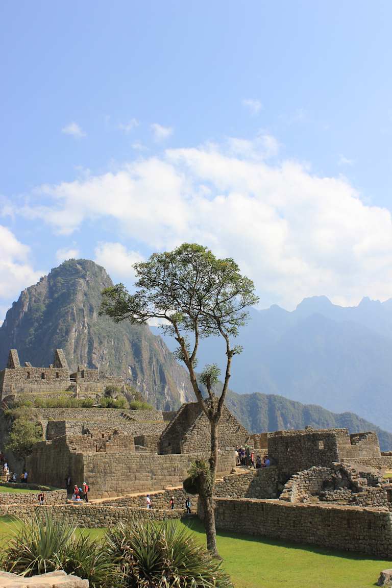 A lone tree stands amidst the ancient ruins of a stone structure, set against a backdrop of rugged mountains and a partly cloudy sky.