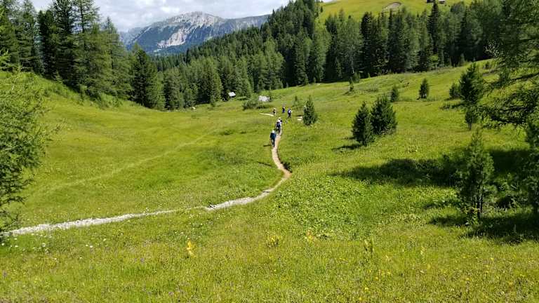A lush, green meadow with a winding path leading through the forest, surrounded by towering mountains in the distance.