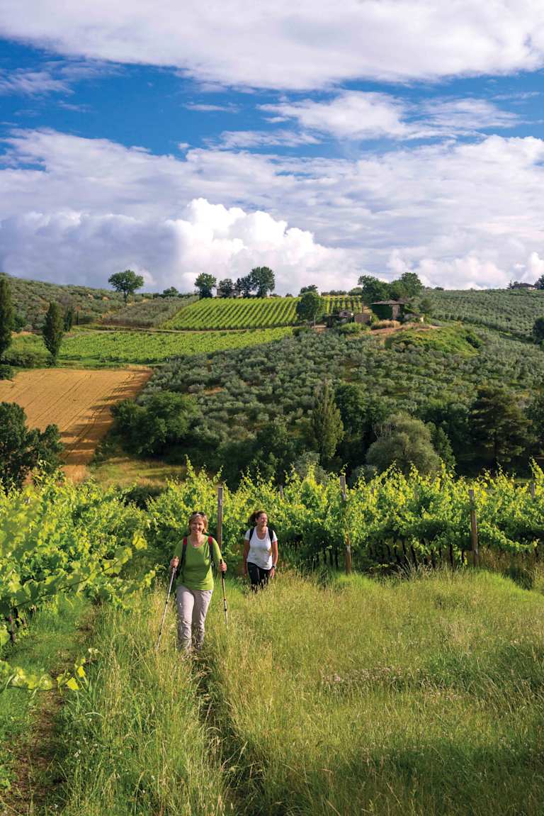 Two people are walking through a lush, green landscape filled with rows of vineyards and trees, set against a backdrop of a cloudy blue sky.