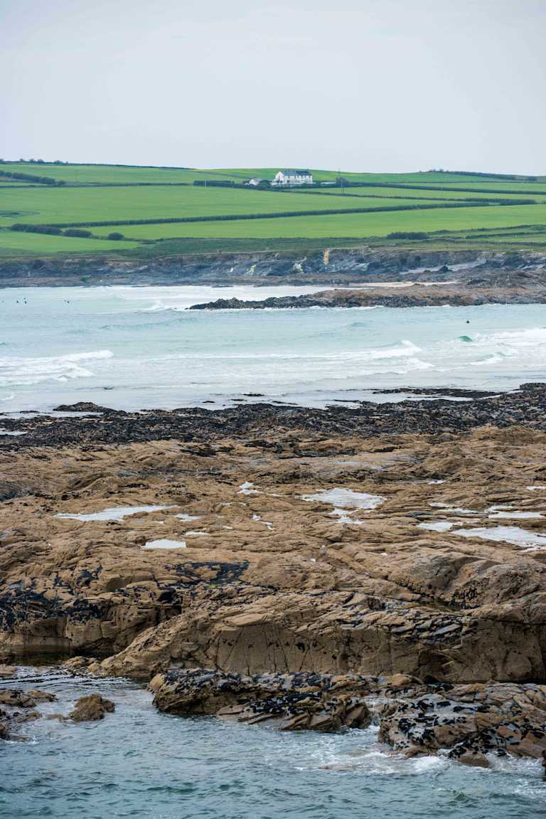 A rocky coastline with tidal pools in the foreground, surrounded by lush green fields in the background, under a clear blue sky.